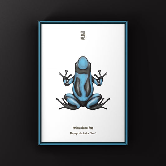 Blue Harlequin Poison Frog art print by The Silk Ranch showing vibrant blue and black patterned frog on white background.