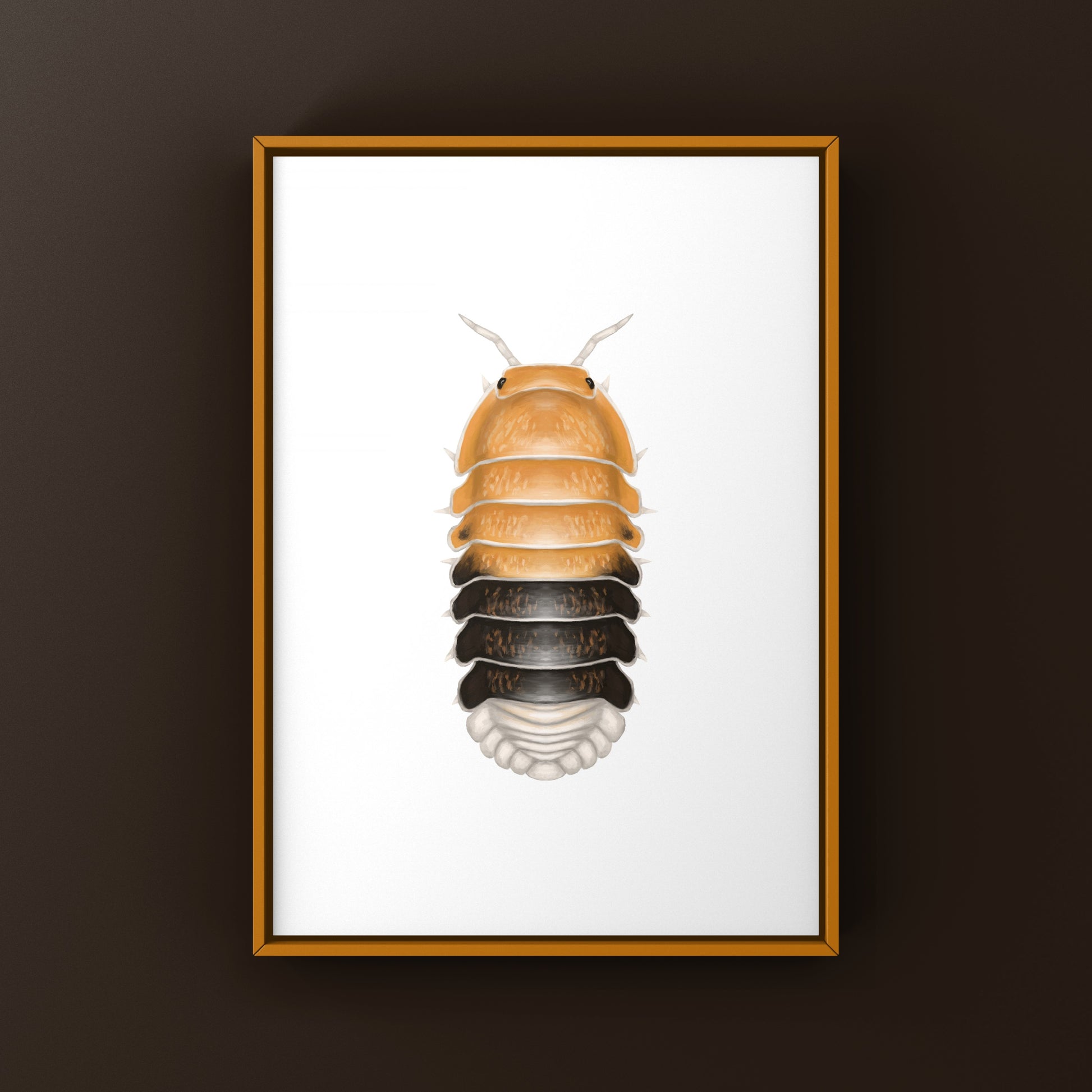 Colorful Daxin Tricolor Isopod art print featuring Cubaris sp. Daxin, showcasing vibrant details and natural textures.