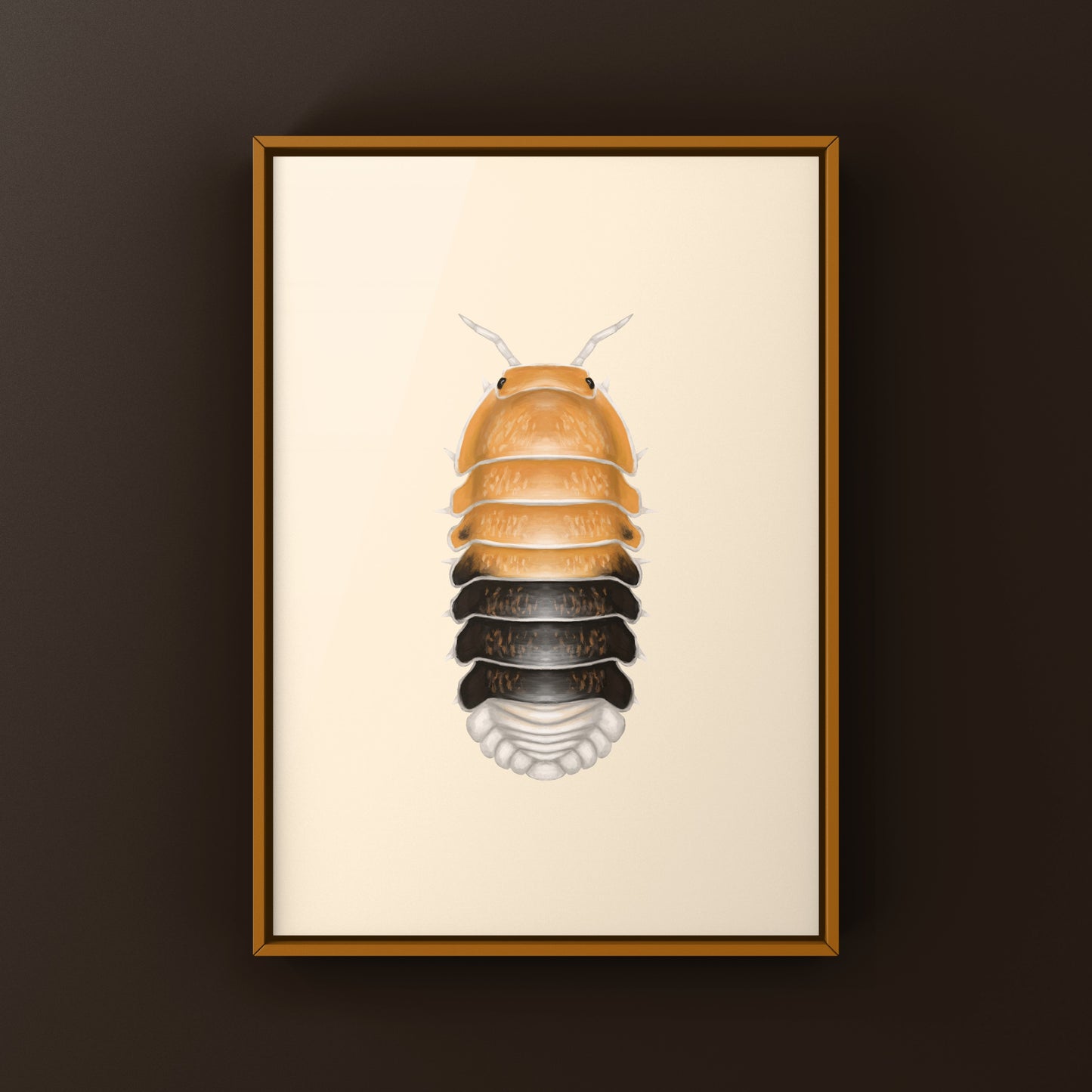 Colorful Cubaris sp. Daxin isopod art print featuring vibrant tricolor details, created by The Silk Ranch.