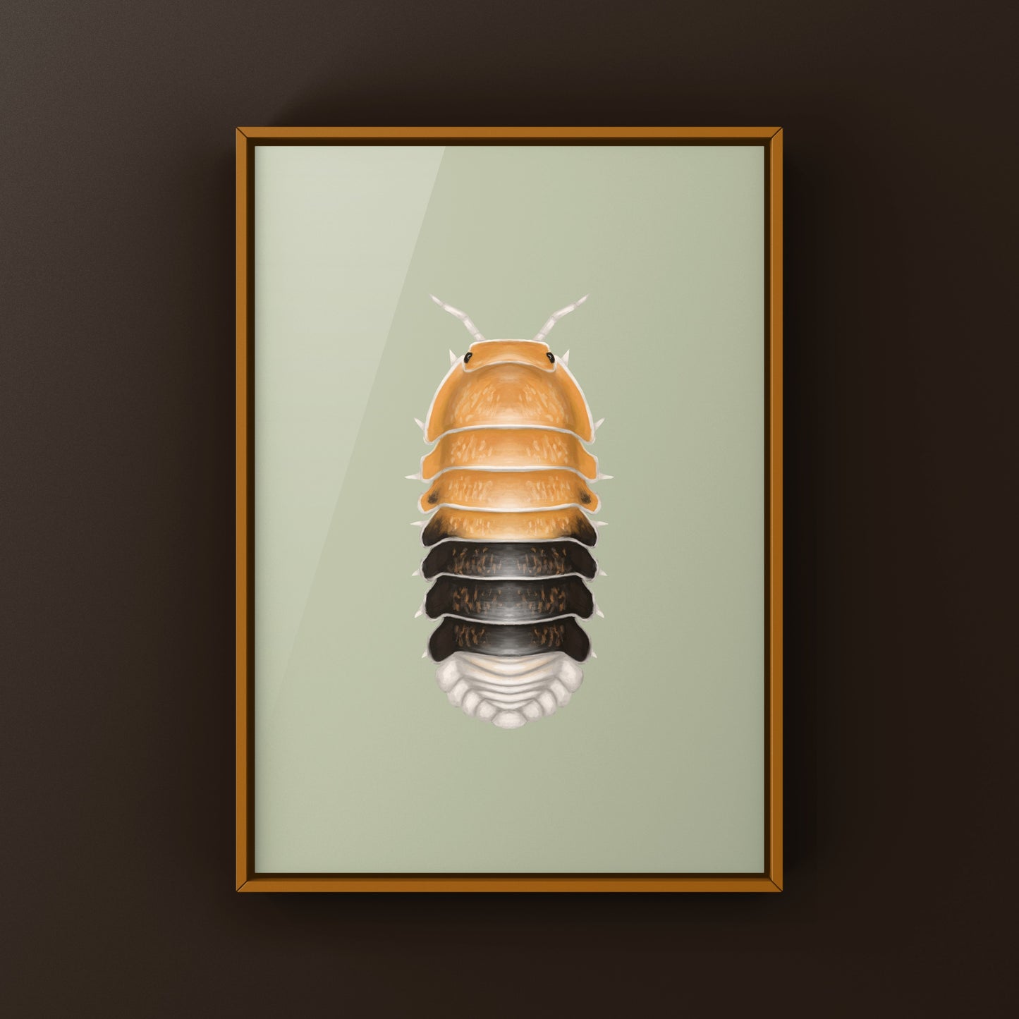 Colorful Daxin Tricolor Isopod art print by The Silk Ranch showcasing vibrant Cubaris sp. Daxin isopods on a textured background.