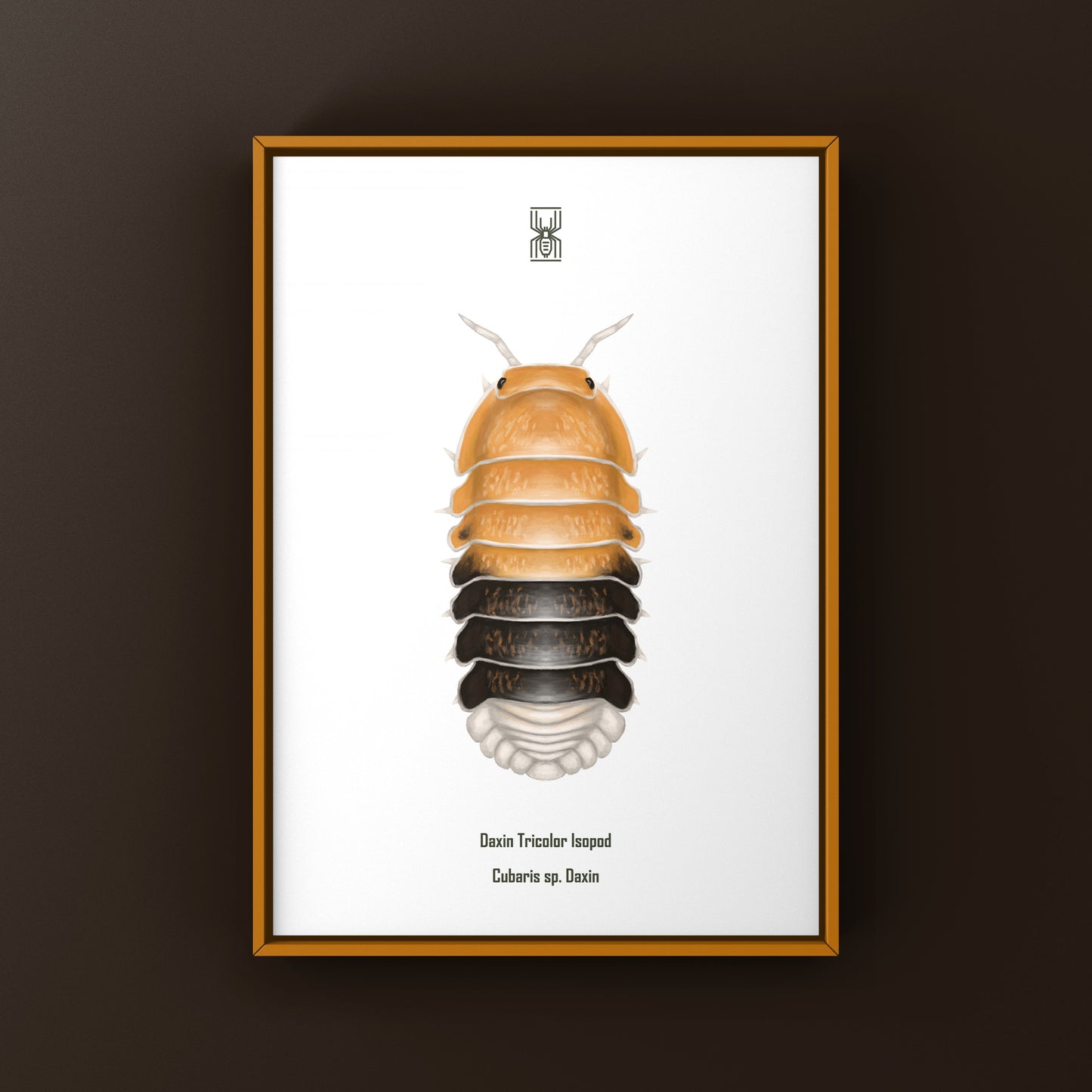 Colorful Daxin Tricolor Isopod art print by The Silk Ranch featuring vibrant Cubaris sp. Daxin in a detailed, natural setting.