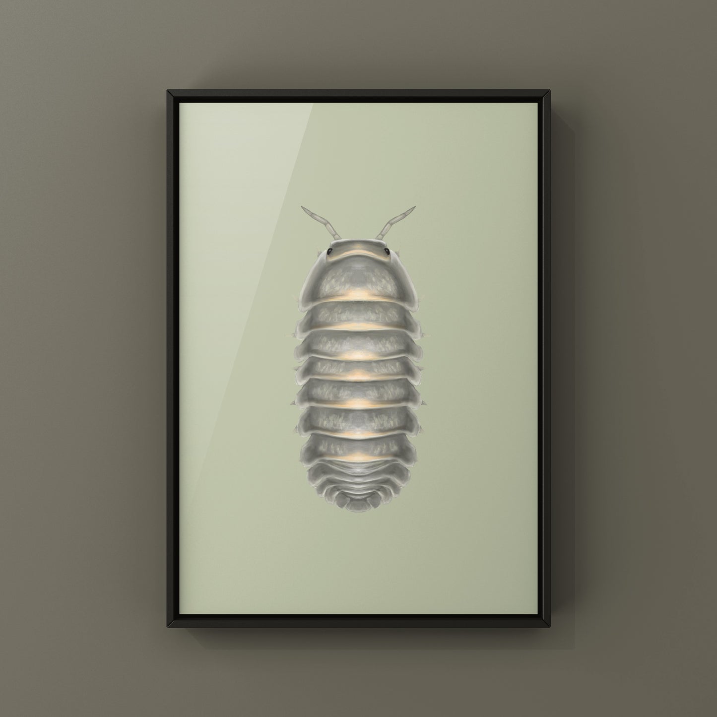Mango Sticky Rice Cubaris sp. isopod art print featuring detailed illustrations of isopods on a white background.