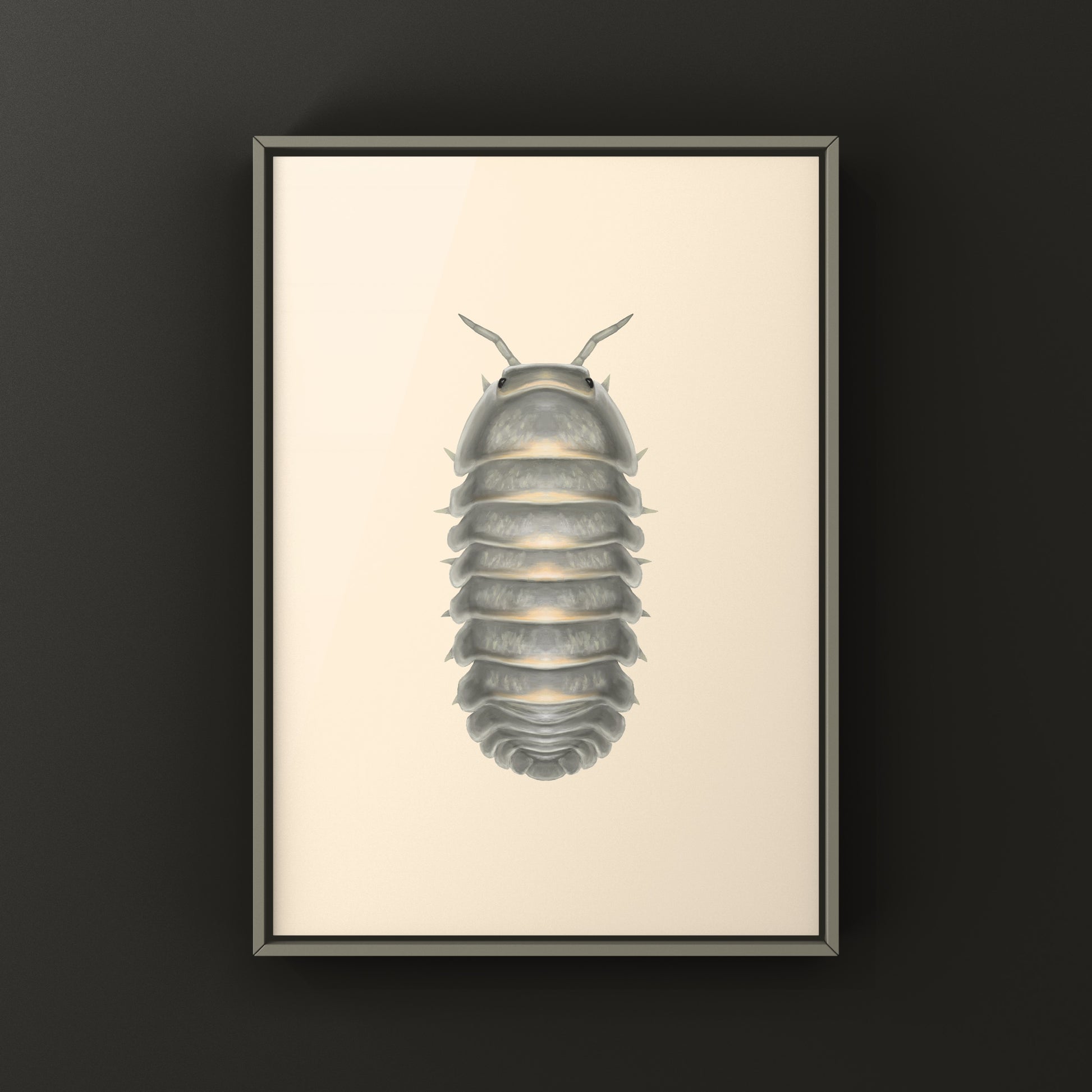 Mango Sticky Rice Isopod art print featuring Cubaris sp. Mango Sticky Rice by The Silk Ranch, detailed depiction of isopod illustration.