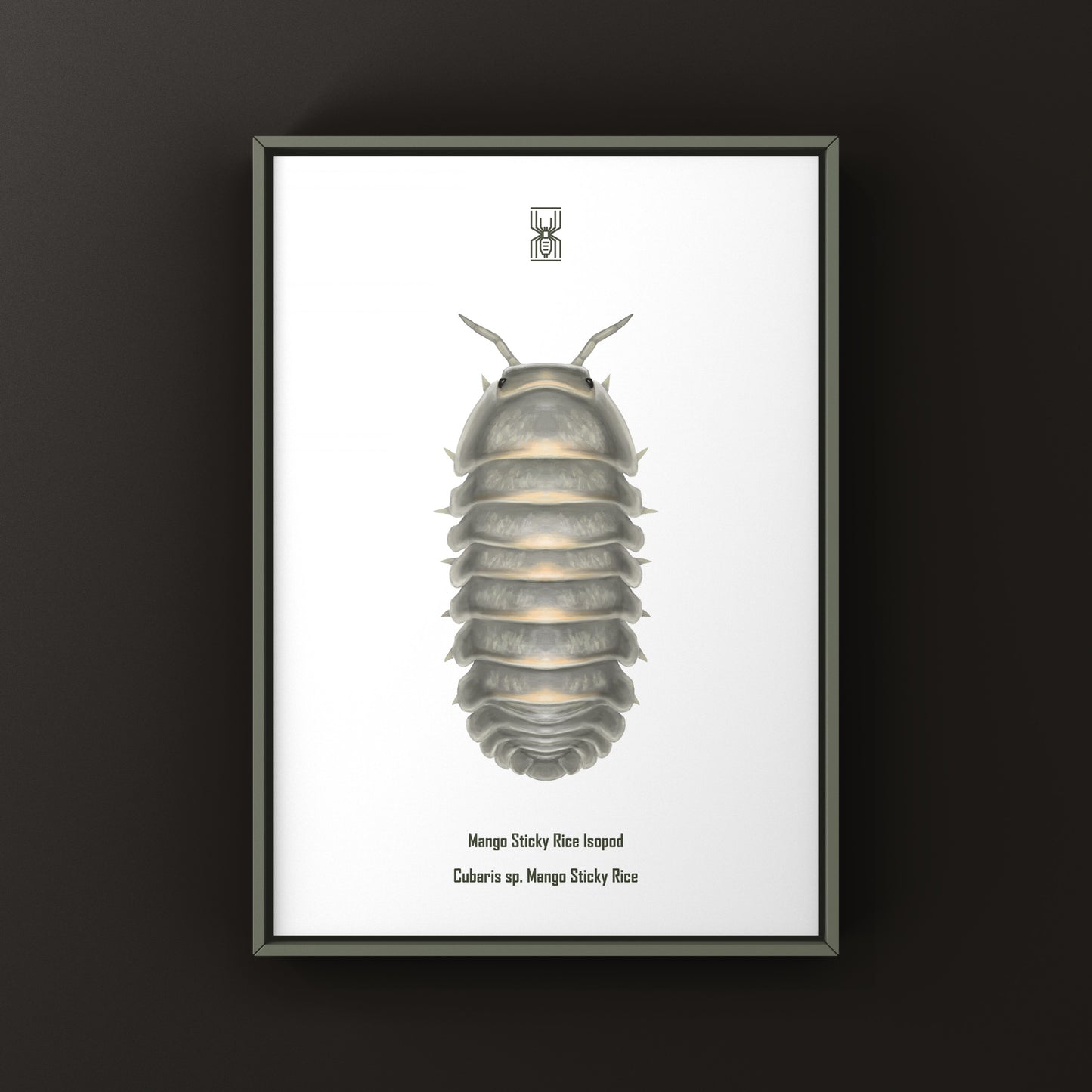 Mango Sticky Rice Cubaris sp. Isopod art print by The Silk Ranch showing detailed illustration of isopod on white background