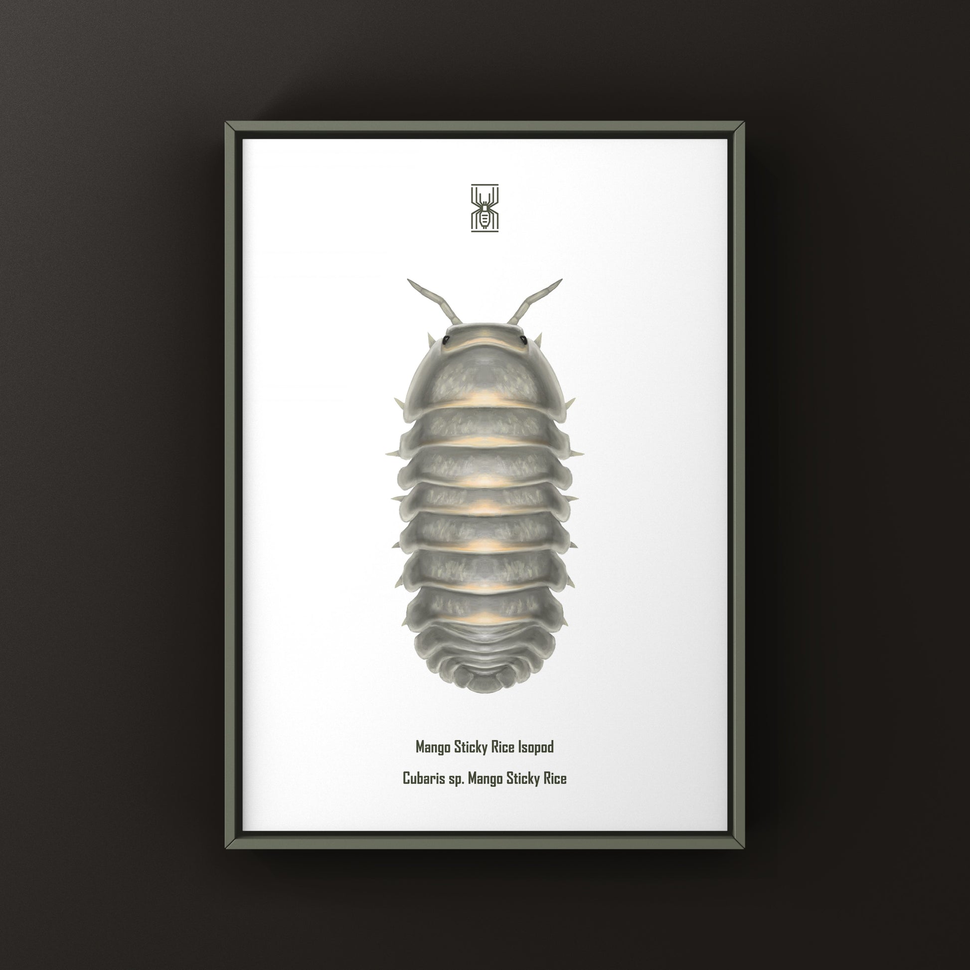 Mango Sticky Rice Cubaris sp. Isopod art print by The Silk Ranch showing detailed illustration of isopod on white background