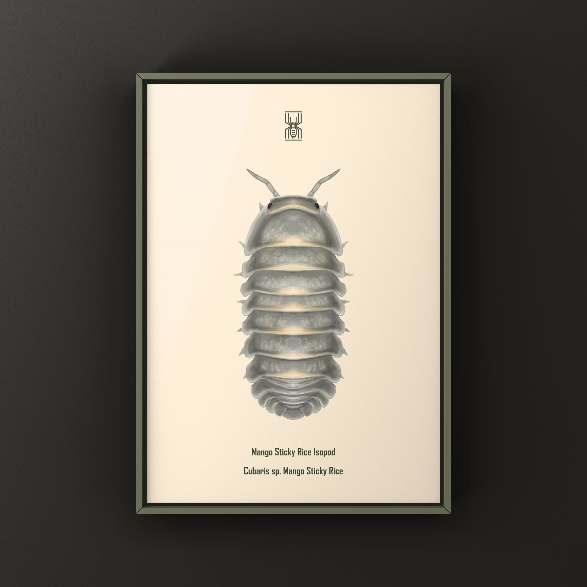 Mango Sticky Rice Isopod art print featuring Cubaris sp. Mango Sticky Rice in detailed, vibrant insect artwork by The Silk Ranch.