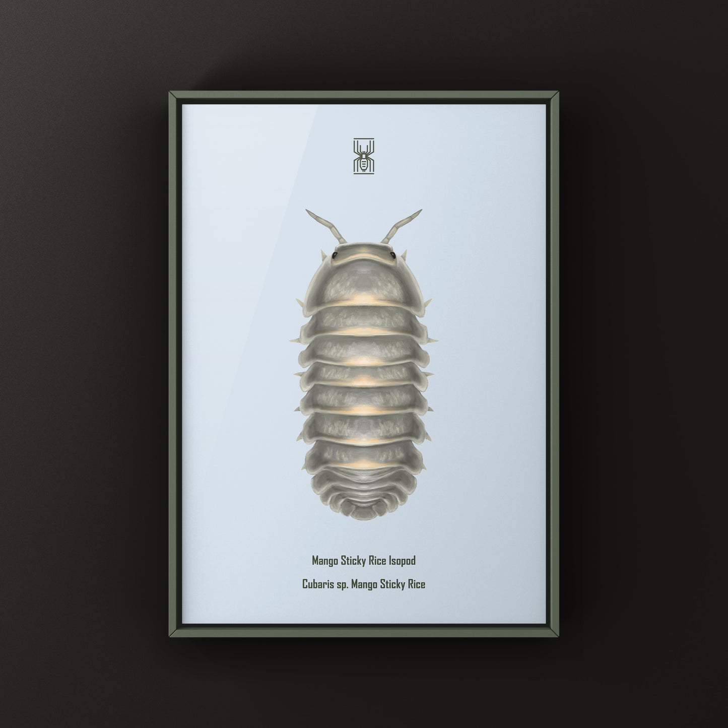 Mango Sticky Rice Cubaris sp. isopod art print by The Silk Ranch, featuring detailed illustration of the exotic isopod species.