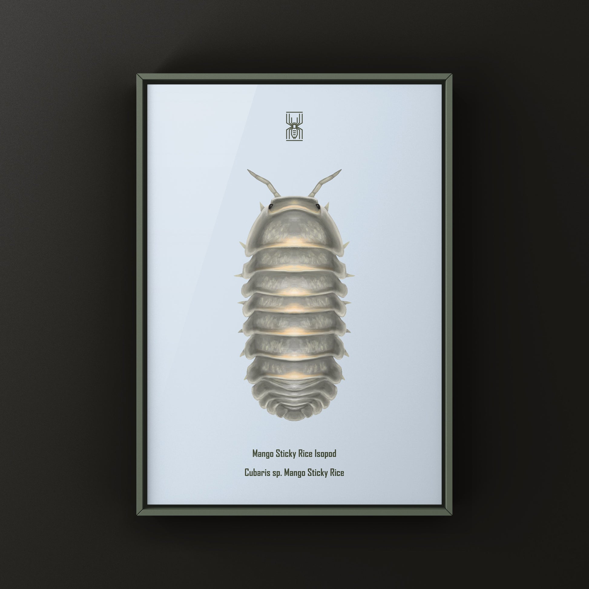 Mango Sticky Rice Cubaris sp. isopod art print by The Silk Ranch, featuring detailed illustration of the exotic isopod species.