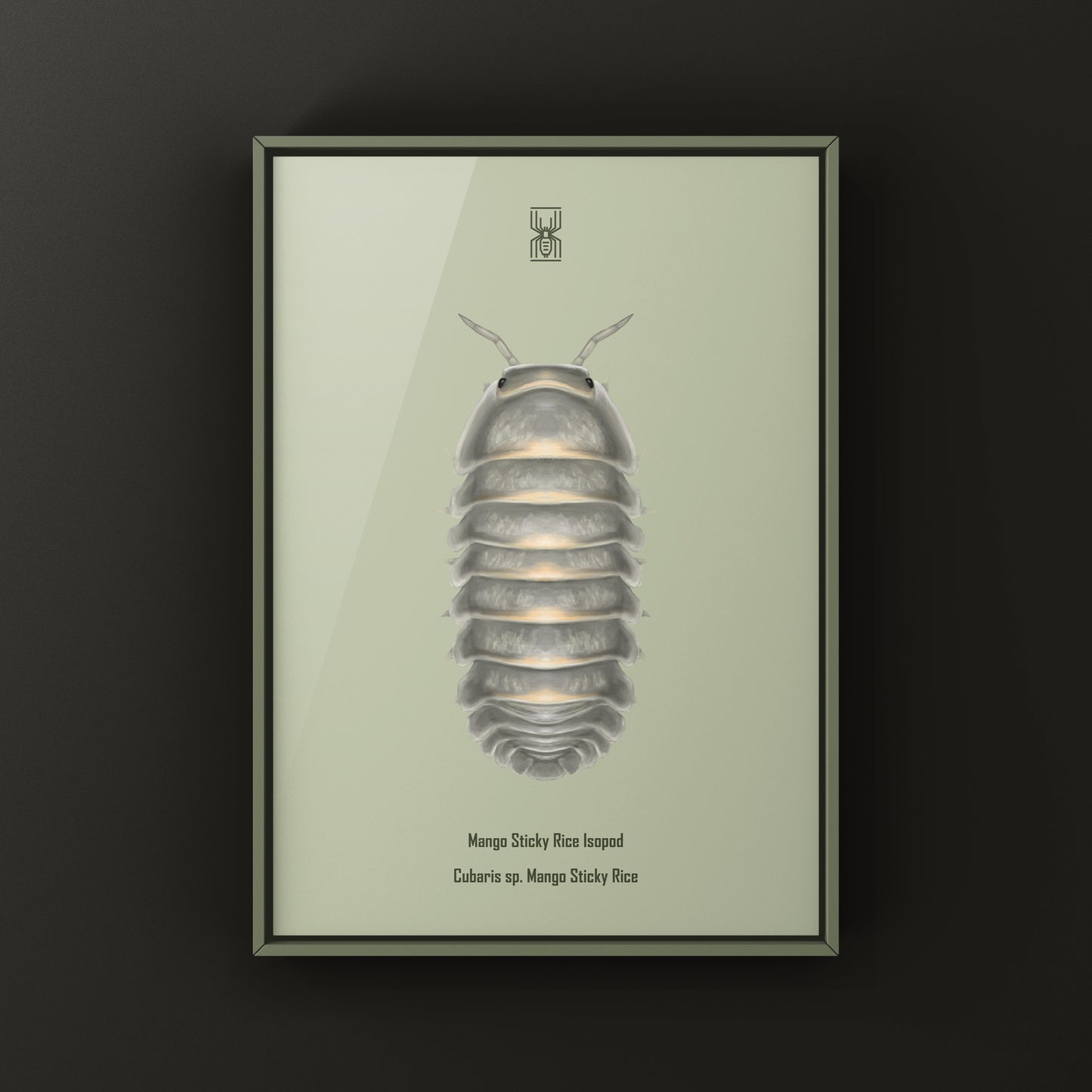Mango Sticky Rice Isopod art print by The Silk Ranch featuring detailed illustration of Cubaris sp. Mango Sticky Rice isopod.