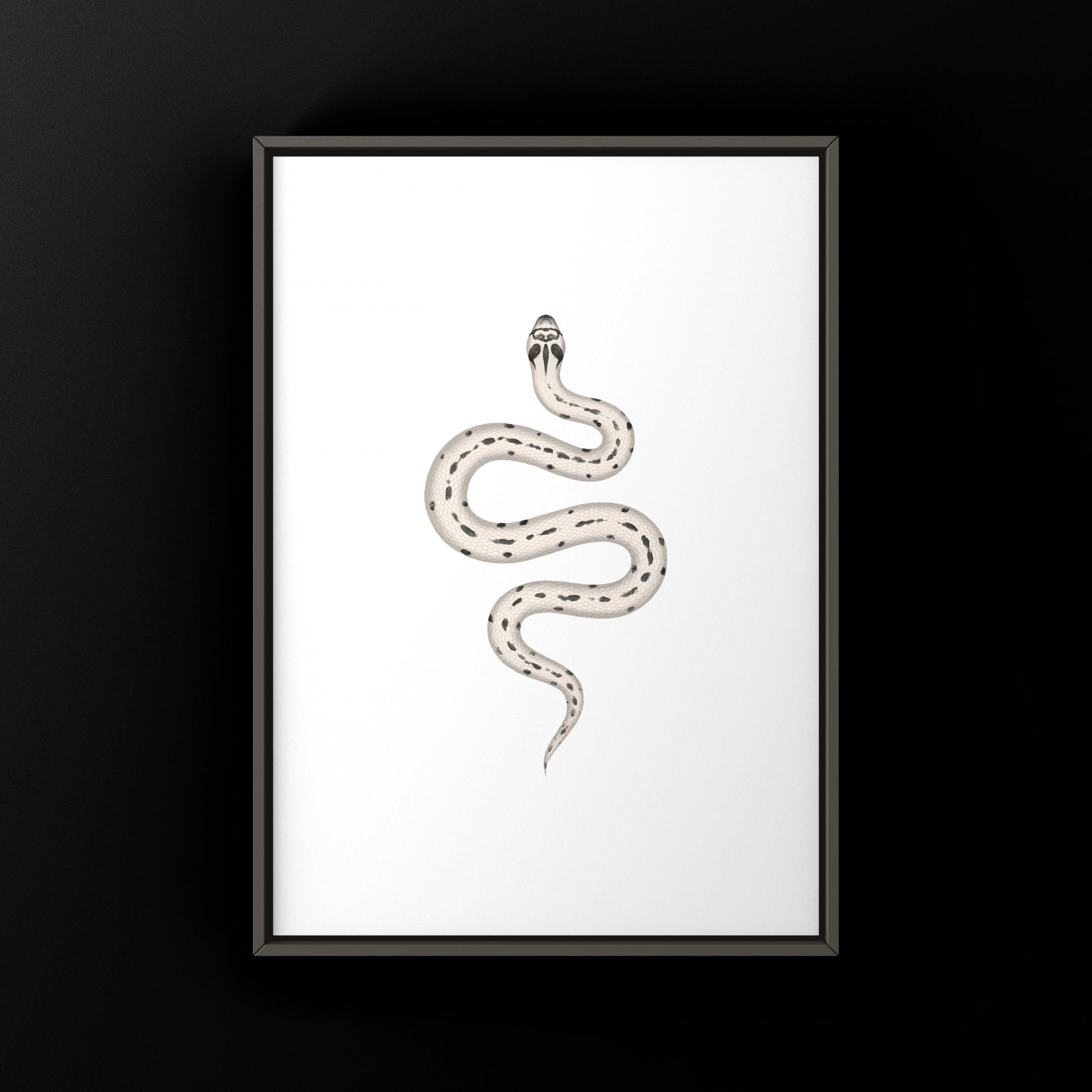Art print of a Super Arctic Anaconda Western Hognose Snake (Heterodon nasicus) by The Silk Ranch, showcasing detailed snake artwork.