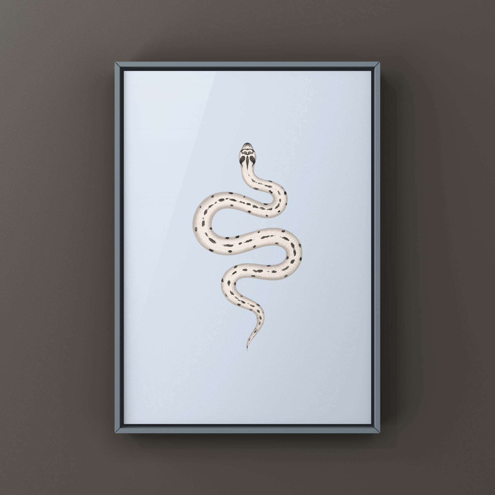 Art print of a Western Hognose Snake (Heterodon nasicus) titled Super Arctic Anaconda by The Silk Ranch, featuring detailed snake artwork.