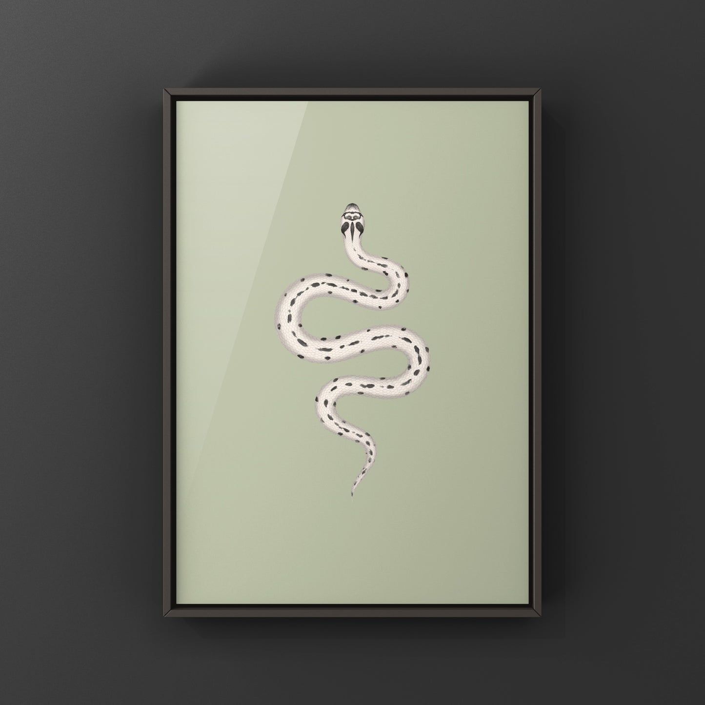 Art print featuring a Western Hognose Snake (Heterodon nasicus) from The Silk Ranch, showcasing detailed illustration of the Super Arctic Anaconda.