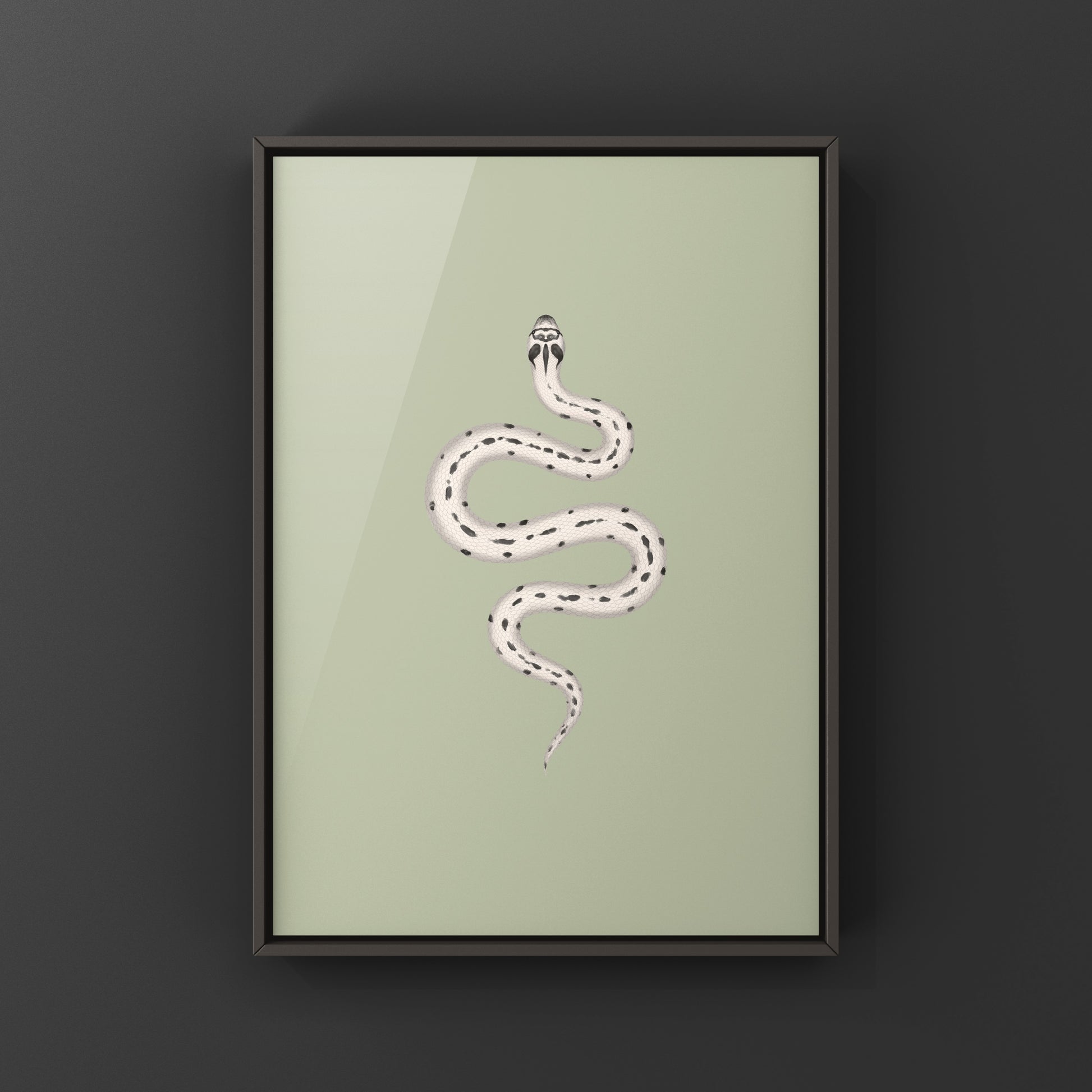 Art print featuring a Western Hognose Snake (Heterodon nasicus) from The Silk Ranch, showcasing detailed illustration of the Super Arctic Anaconda.