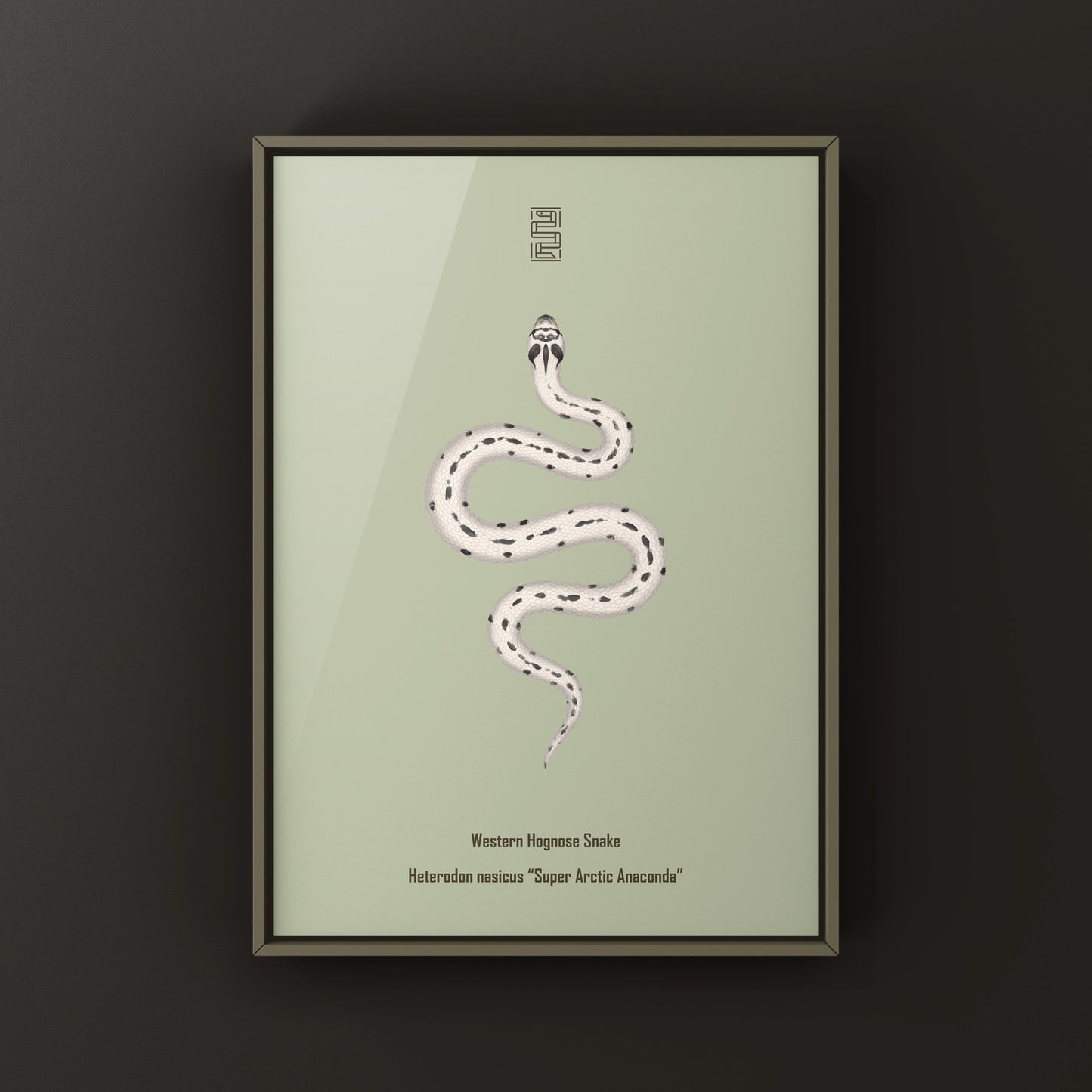 Super Arctic Anaconda Western Hognose Snake art print by The Silk Ranch, featuring detailed illustration of Heterodon nasicus.