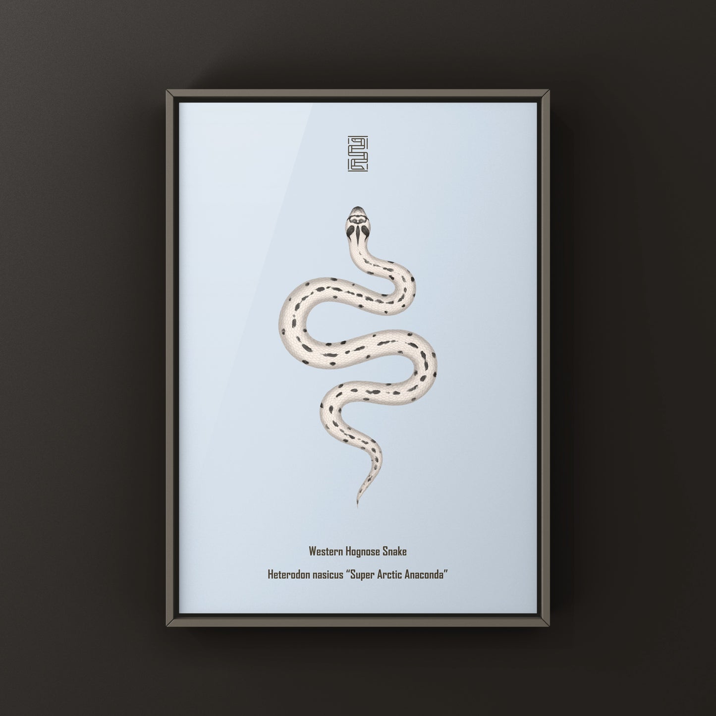 Art print of a Western Hognose Snake (Heterodon nasicus) featuring a detailed illustration of the Super Arctic Anaconda by The Silk Ranch.