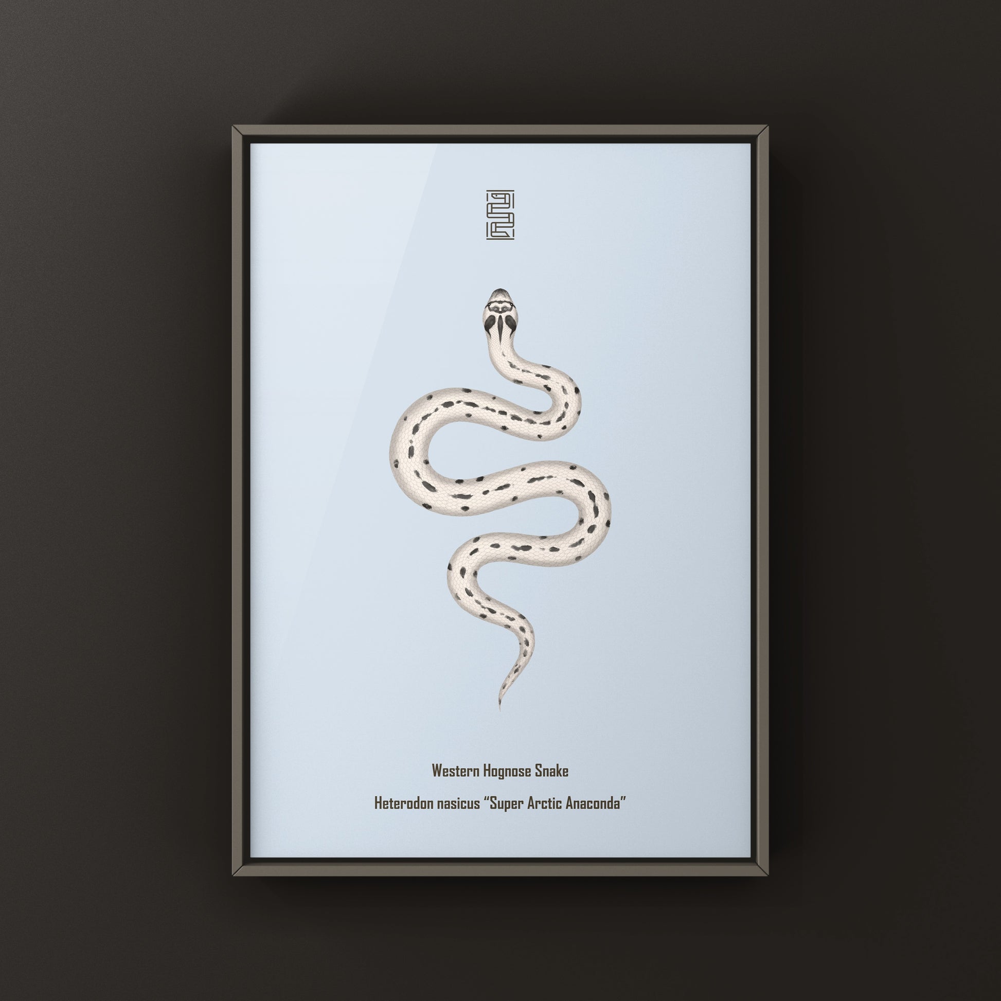 Art print of a Western Hognose Snake (Heterodon nasicus) featuring a detailed illustration of the Super Arctic Anaconda by The Silk Ranch.