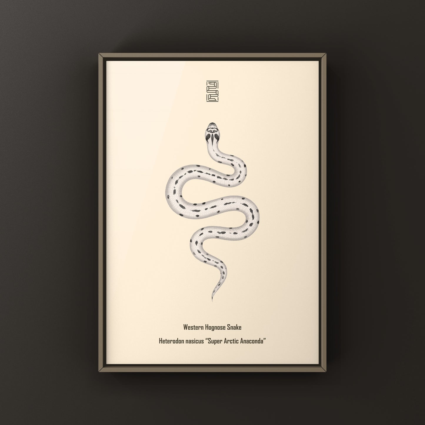 Art print of a Western Hognose Snake (Heterodon nasicus) by The Silk Ranch, featuring a detailed illustration of the Super Arctic Anaconda.