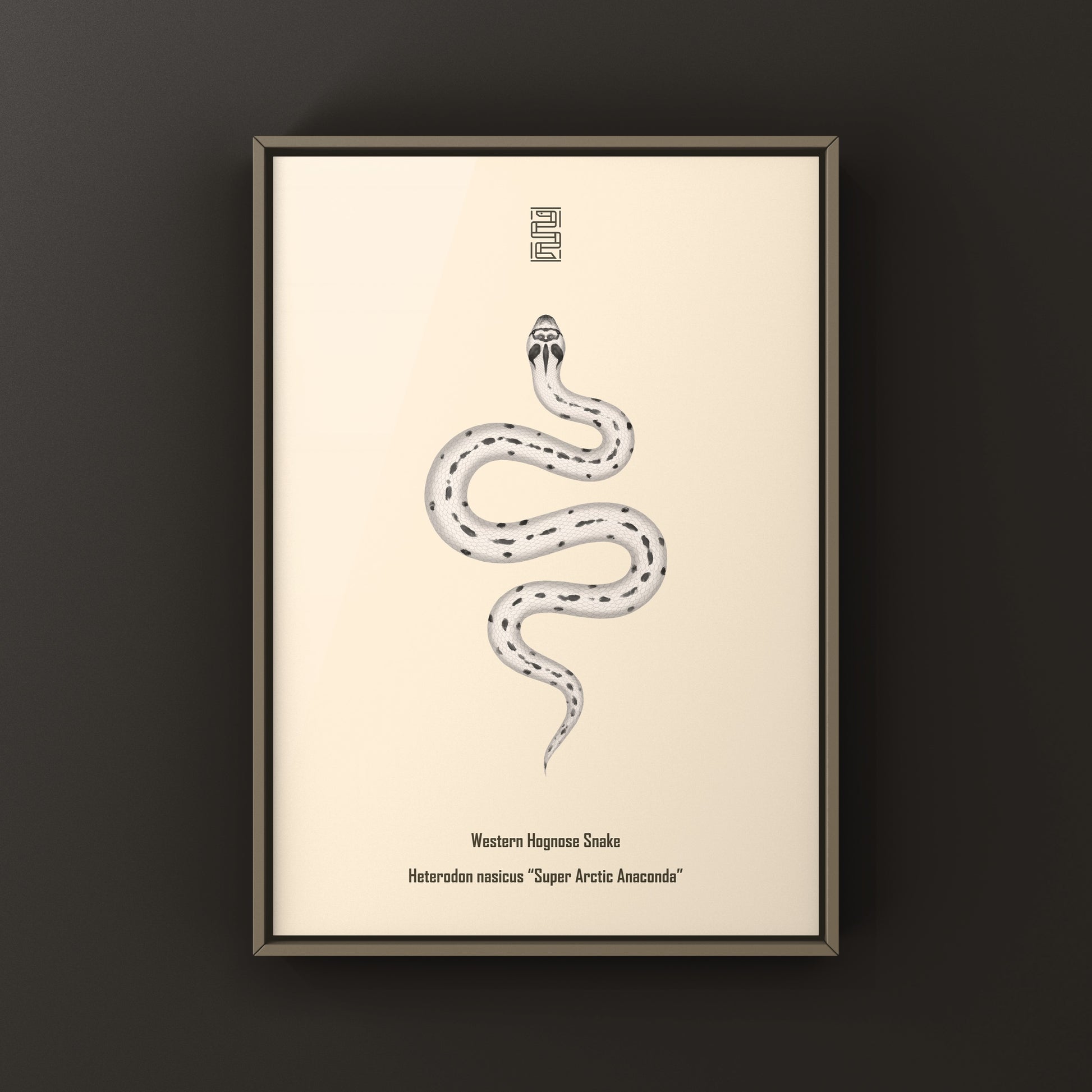 Art print of a Western Hognose Snake (Heterodon nasicus) by The Silk Ranch, featuring a detailed illustration of the Super Arctic Anaconda.