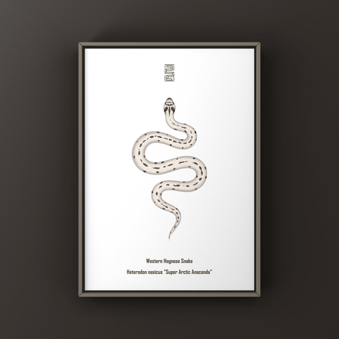 Western Hognose Snake art print featuring the Super Arctic Anaconda color pattern, created by The Silk Ranch.