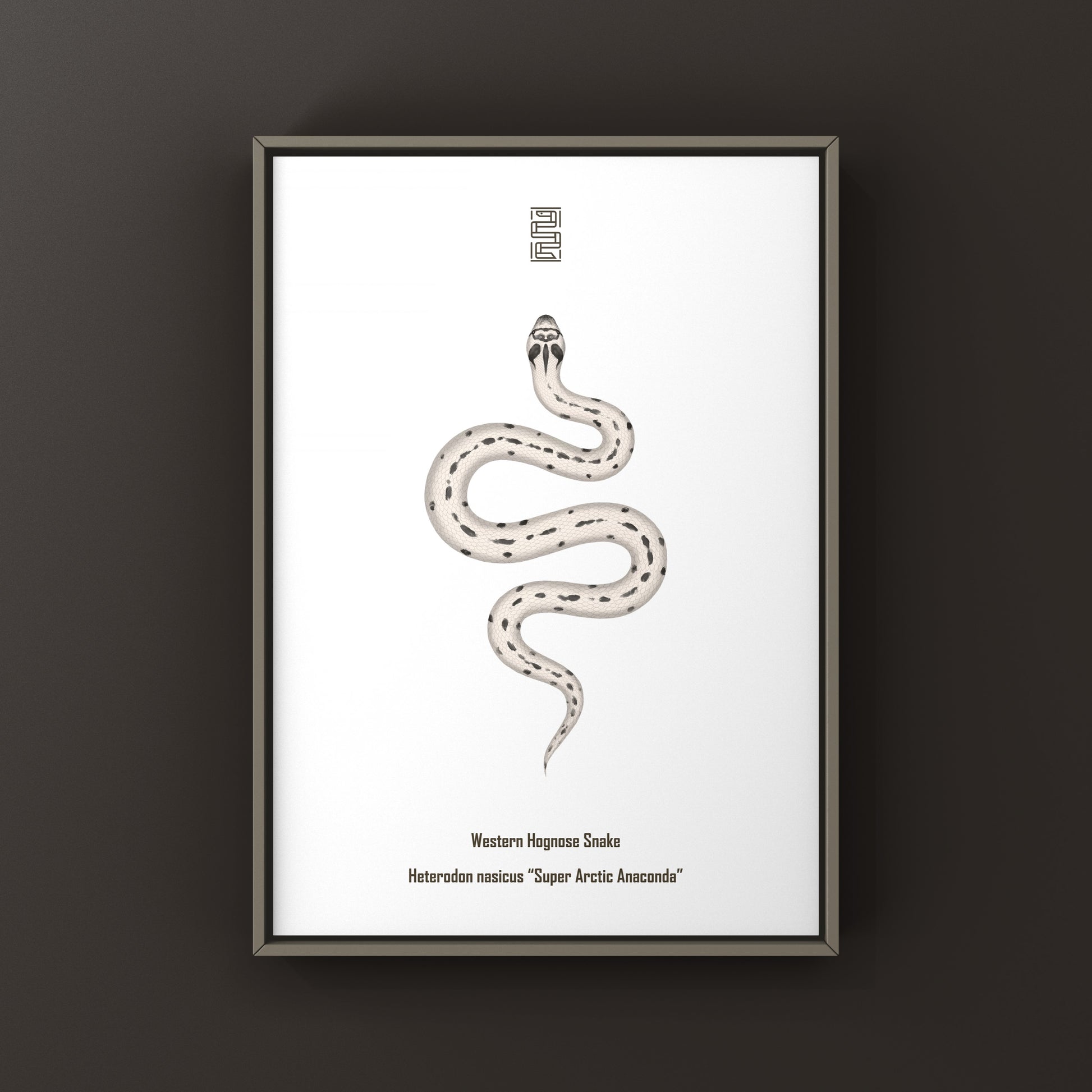 Western Hognose Snake art print featuring the Super Arctic Anaconda color pattern, created by The Silk Ranch.