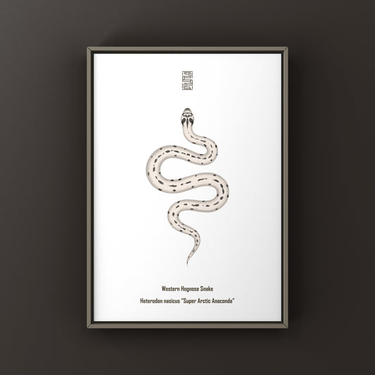 Western Hognose Snake art print featuring the Super Arctic Anaconda color pattern, created by The Silk Ranch.