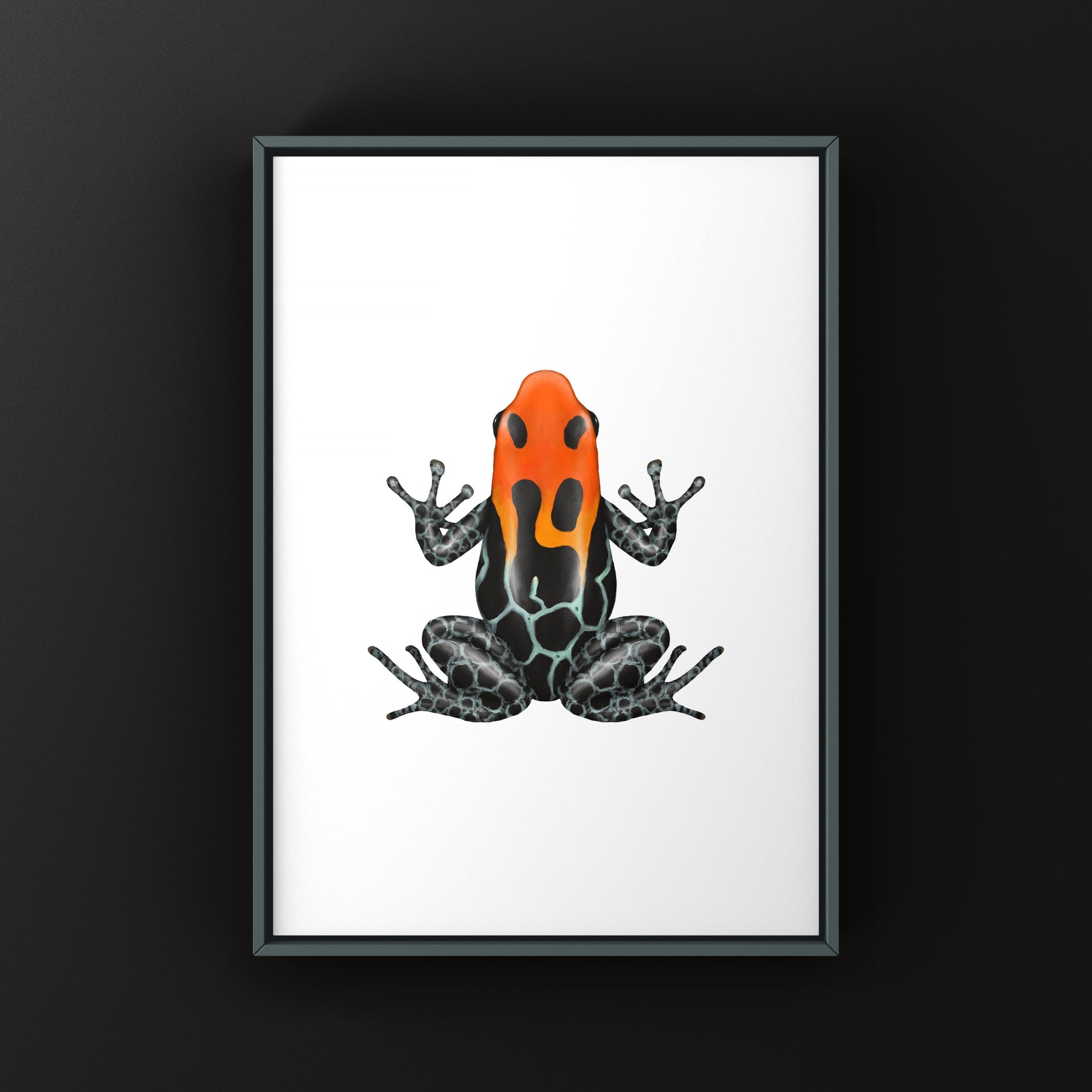Colorful Ranitomeya amazonica poison frog art print by The Silk Ranch, showcasing vibrant details of the Amazonian amphibian.