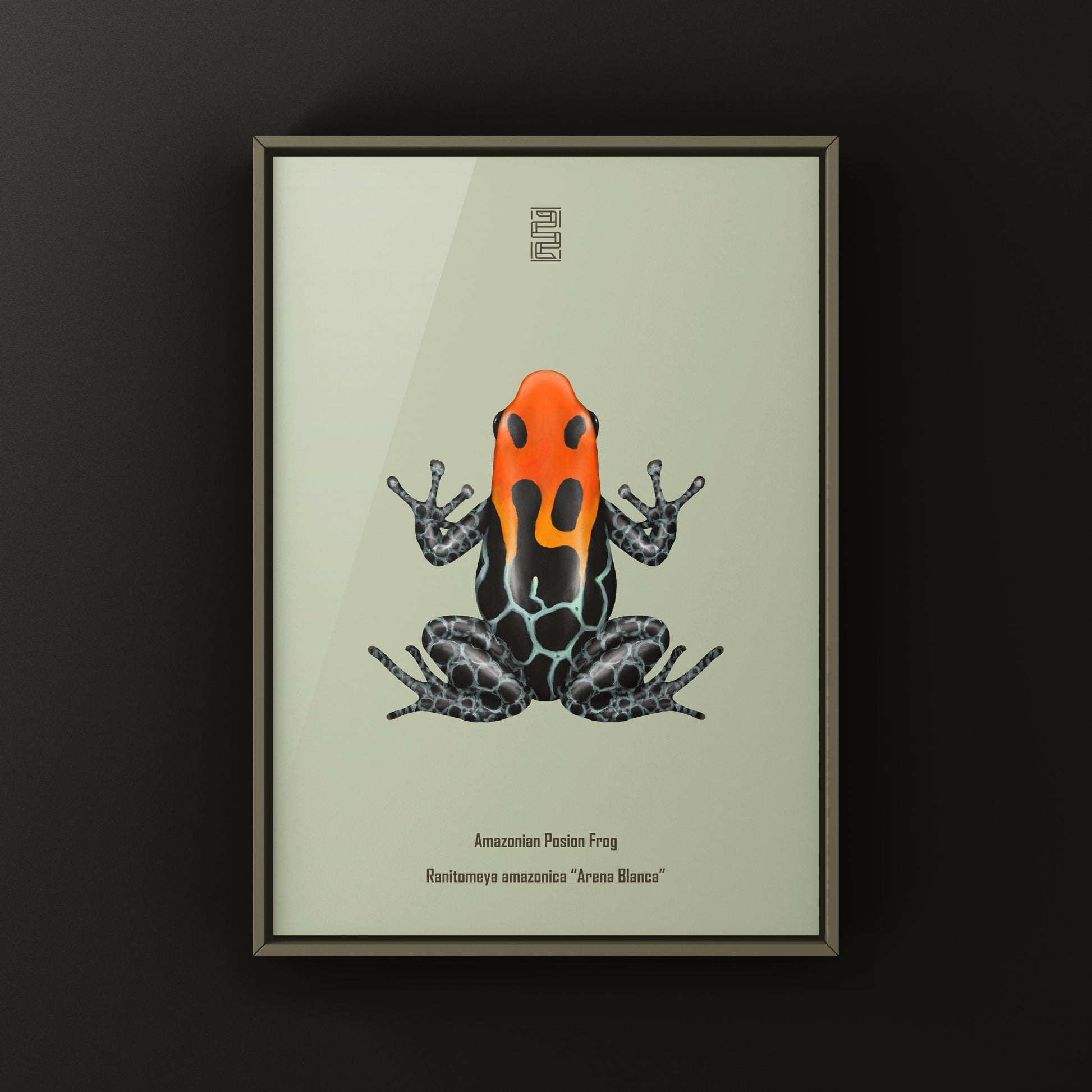 Colorful Ranitomeya amazonica poison frog art print by The Silk Ranch featuring vibrant jungle hues and detailed tropical rainforest imagery.