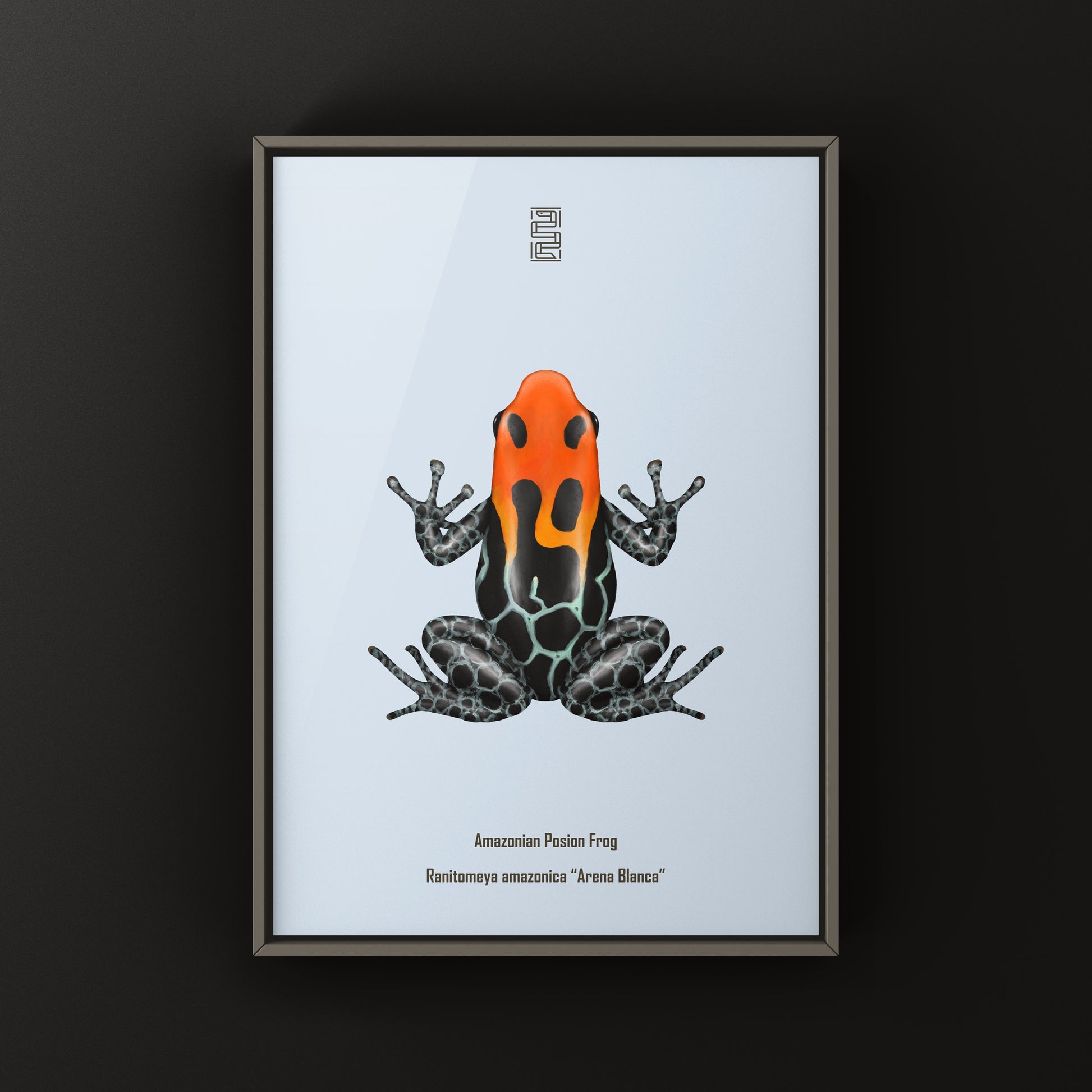 Colorful Ranitomeya amazonica poison frog art print by The Silk Ranch showing vibrant green and orange patterns on a white background.