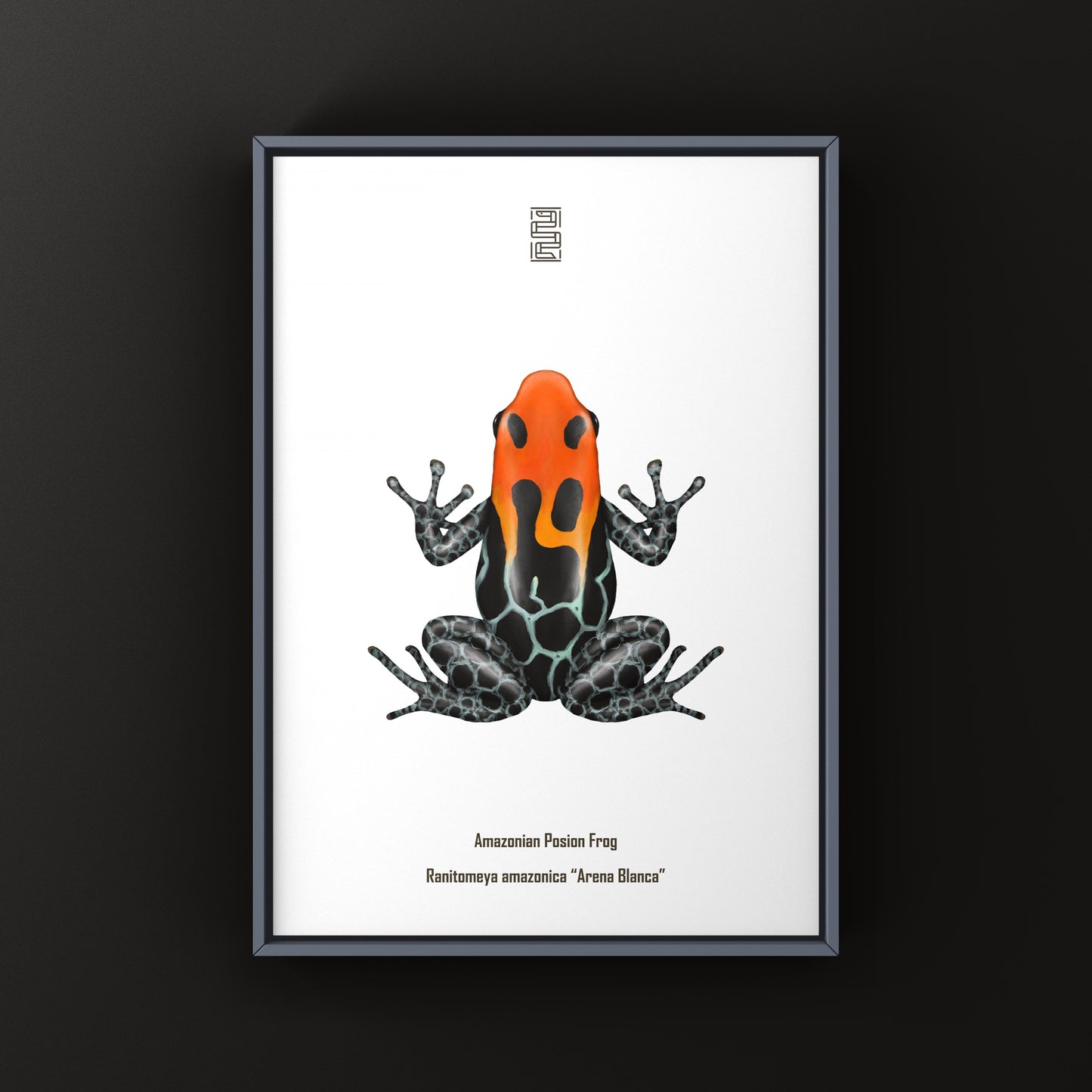 Colorful Ranitomeya amazonica poison frog art print featuring vibrant details, created by The Silk Ranch.