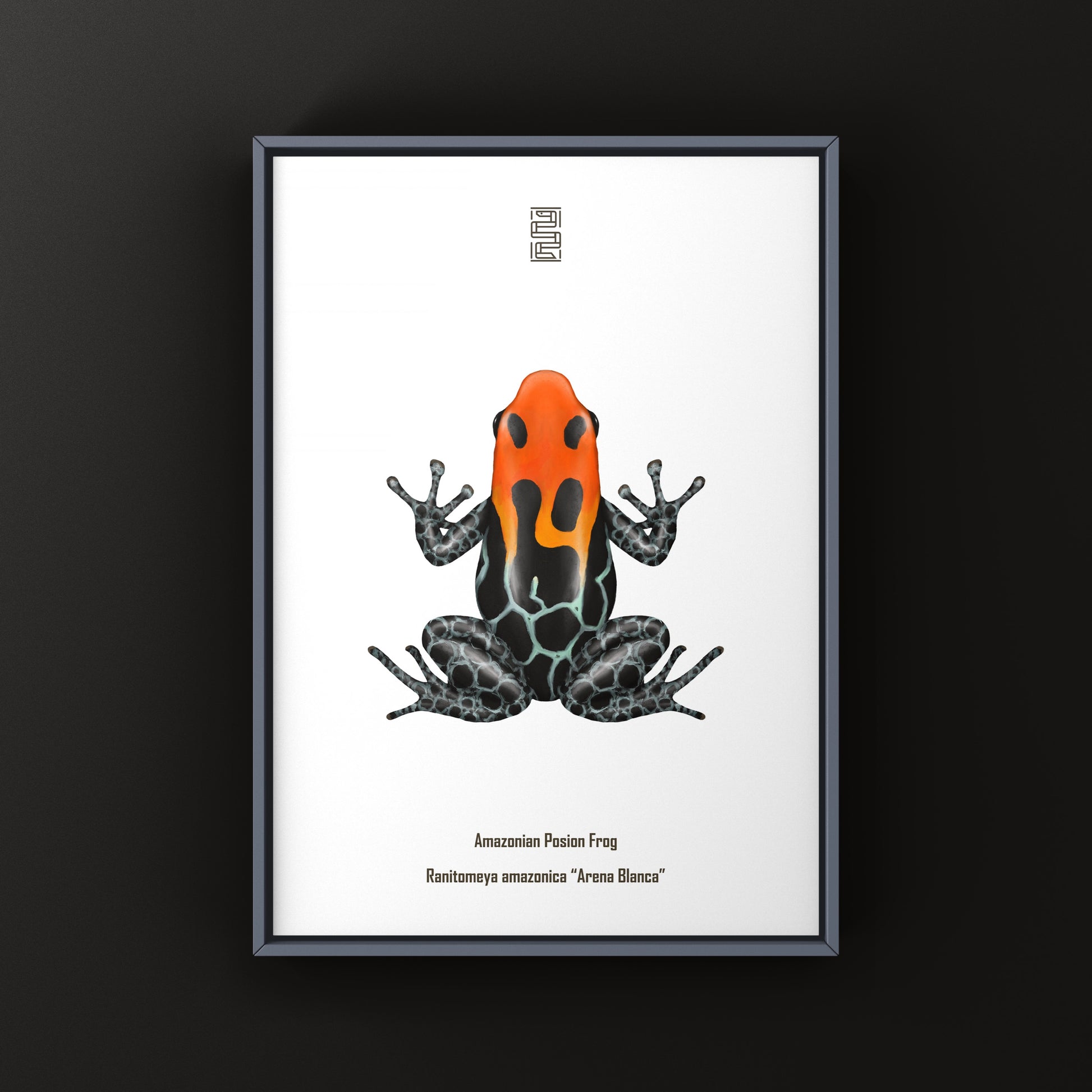 Colorful Ranitomeya amazonica poison frog art print featuring vibrant details, created by The Silk Ranch.