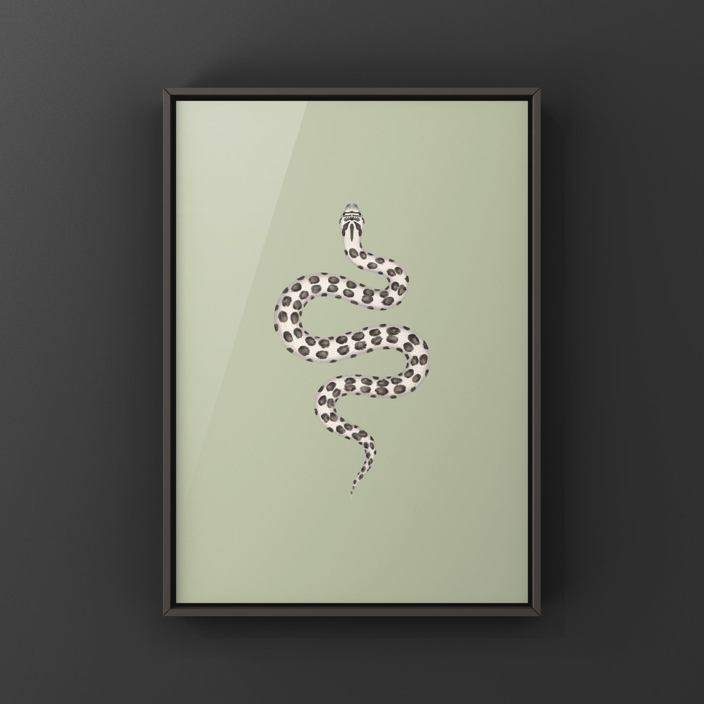 Art print of a Western Hognose Snake (Heterodon nasicus) by The Silk Ranch, showcasing detailed illustration of the reptile.