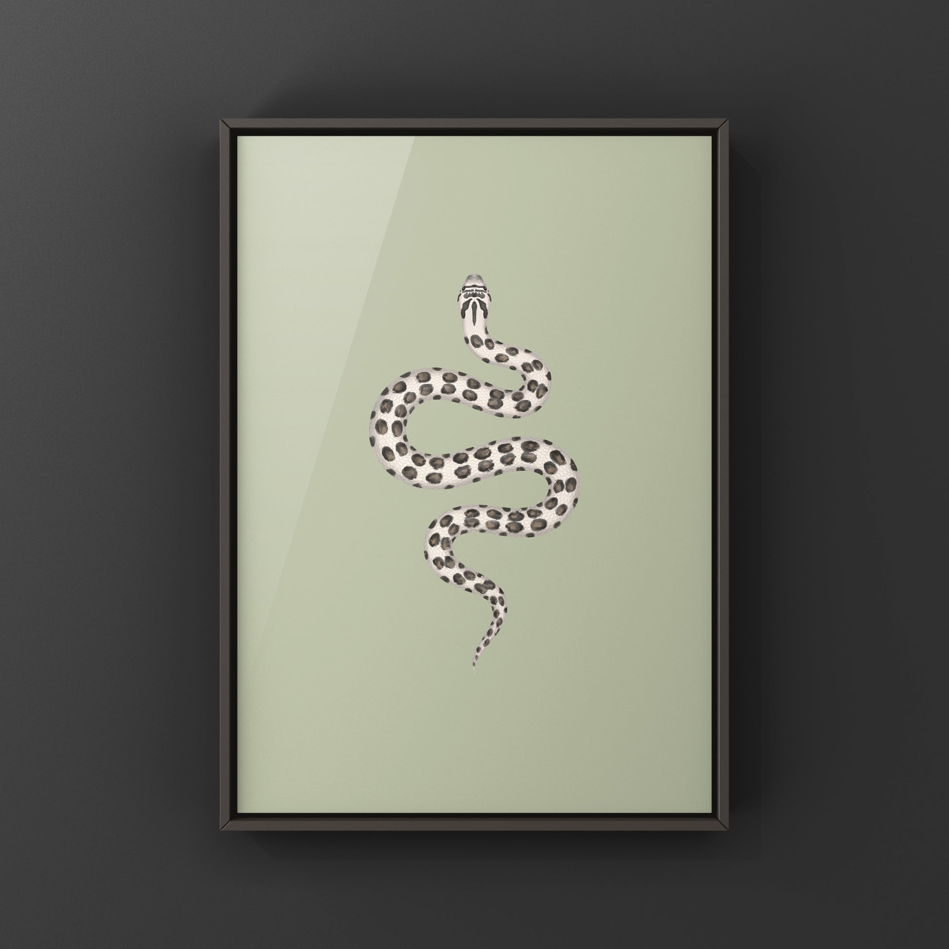 Art print of a Western Hognose Snake (Heterodon nasicus) by The Silk Ranch, showcasing detailed illustration of the reptile.