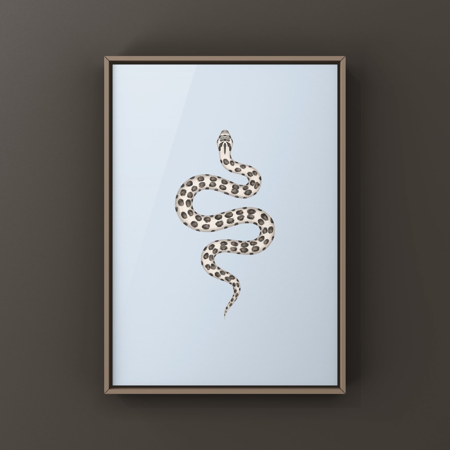 Western Hognose snake art print by The Silk Ranch featuring detailed illustrations of the Super Arctic Western Hognose Snake (Heterodon nasicus).