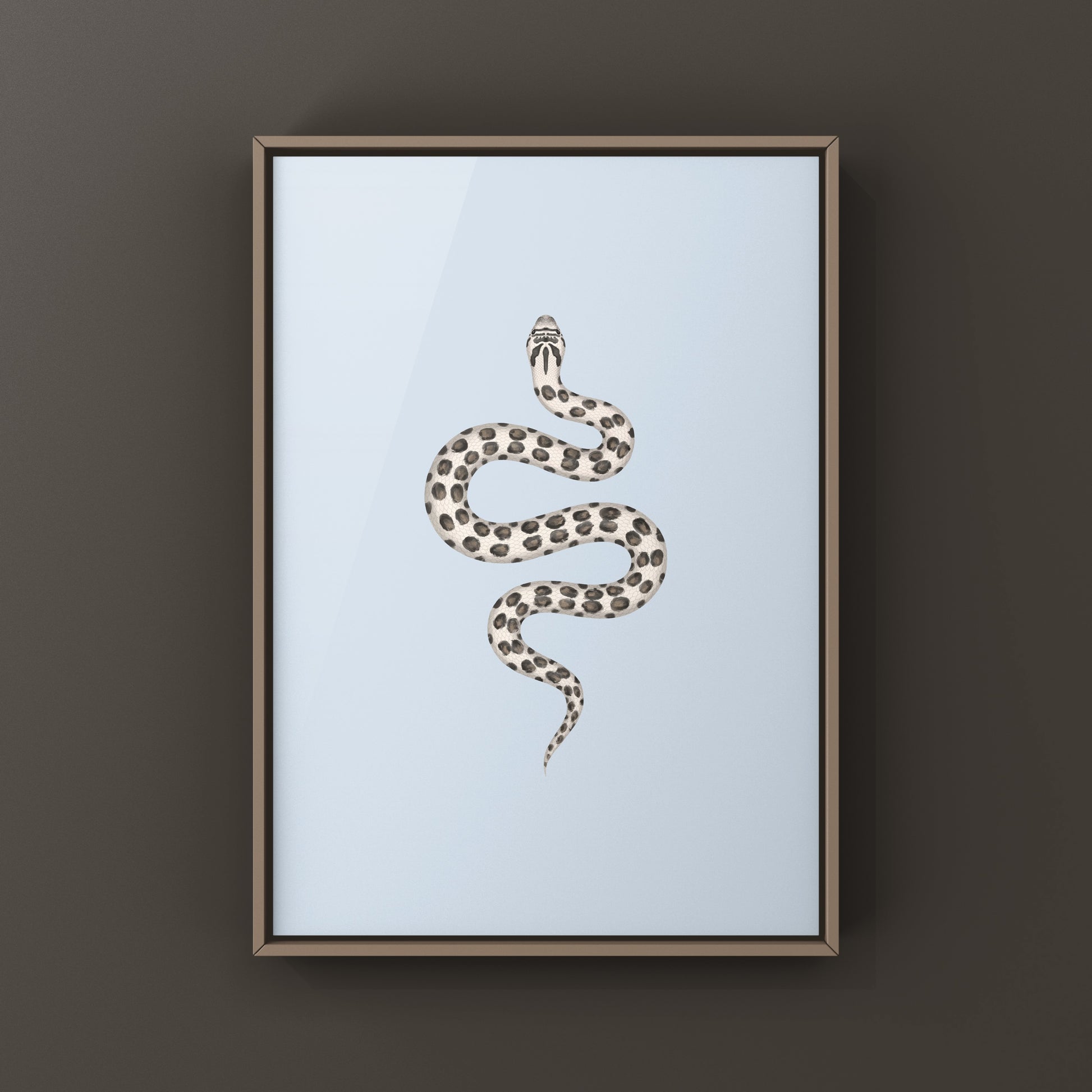 Western Hognose snake art print by The Silk Ranch featuring detailed illustrations of the Super Arctic Western Hognose Snake (Heterodon nasicus).