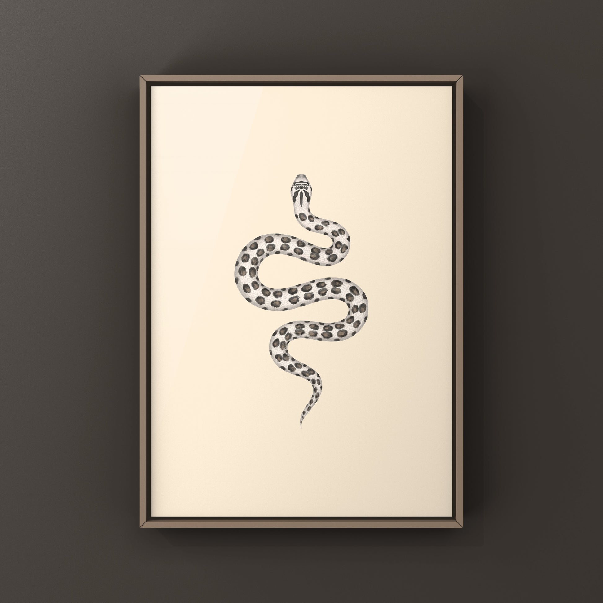 Arctic Western Hognose Snake art print featuring detailed illustration of Heterodon nasicus by The Silk Ranch.