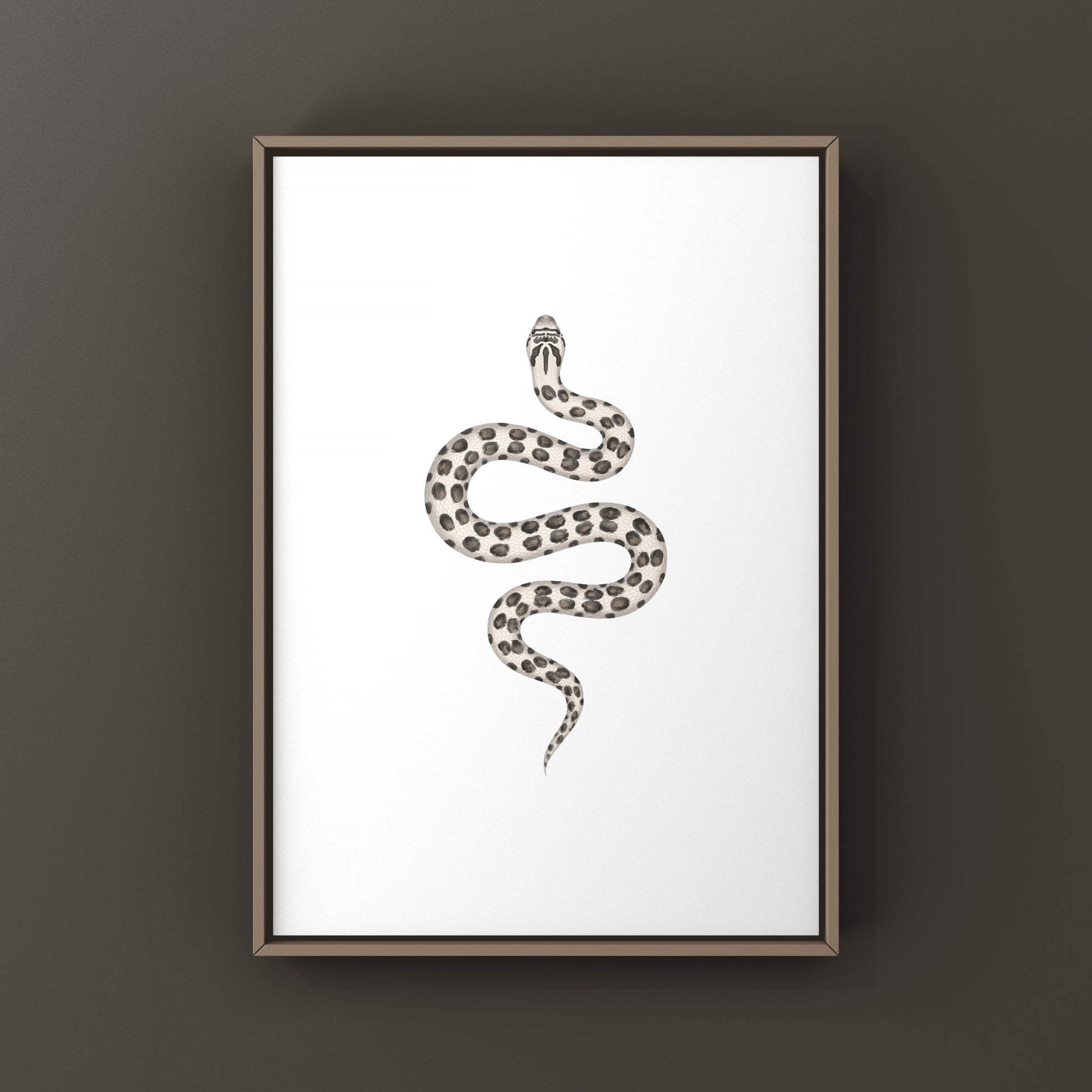 Western Hognose Snake art print featuring a detailed illustration of the Super Arctic Heterodon nasicus by The Silk Ranch.
