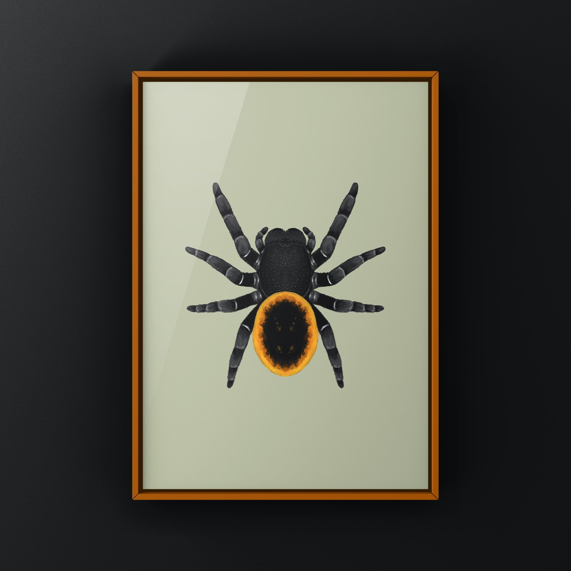 Orange velvet spider art print featuring a detailed illustration of Eresus walckenaeri on high-quality paper.