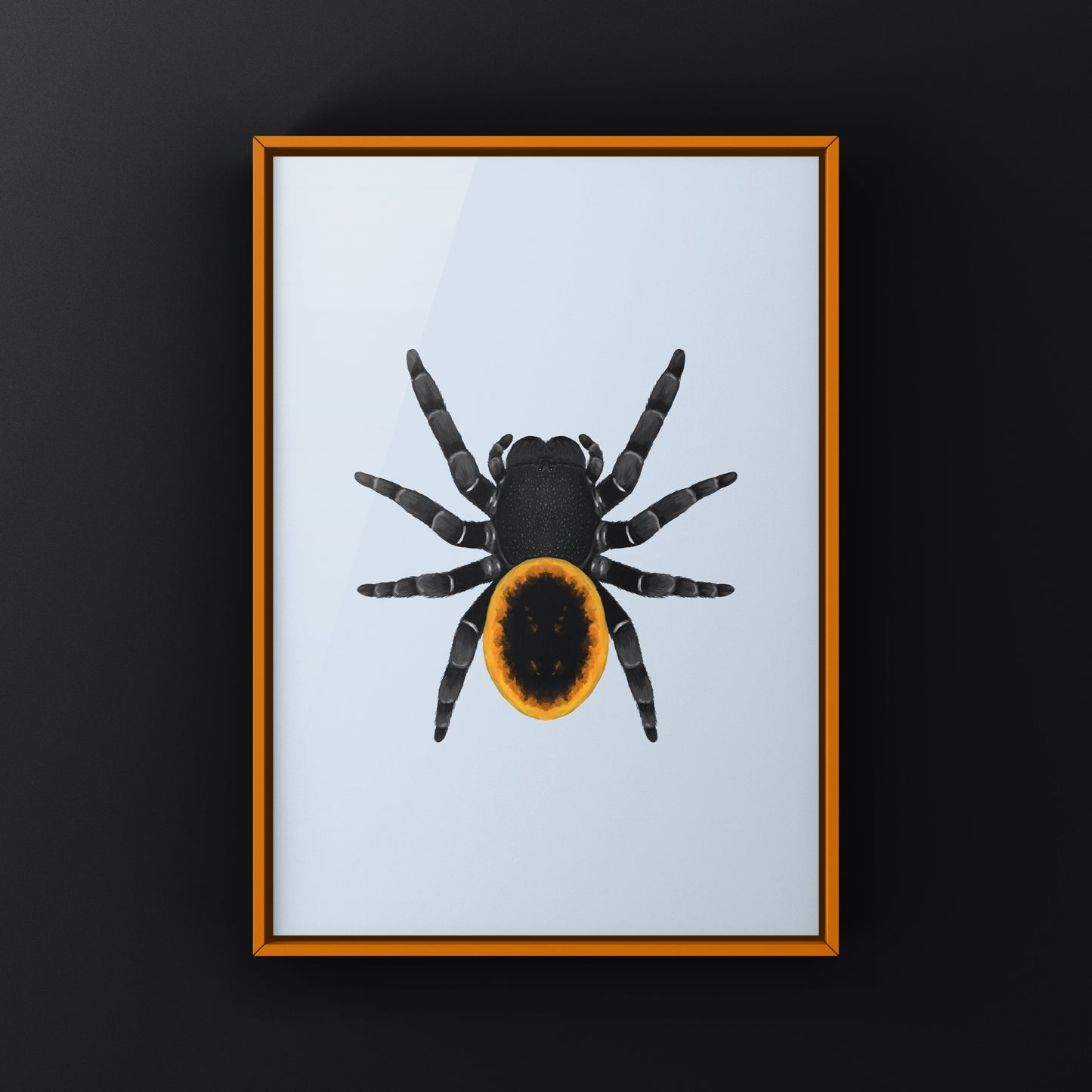 Orange velvet spider art print featuring a detailed illustration of Eresus walckenaeri, displayed on a white background.