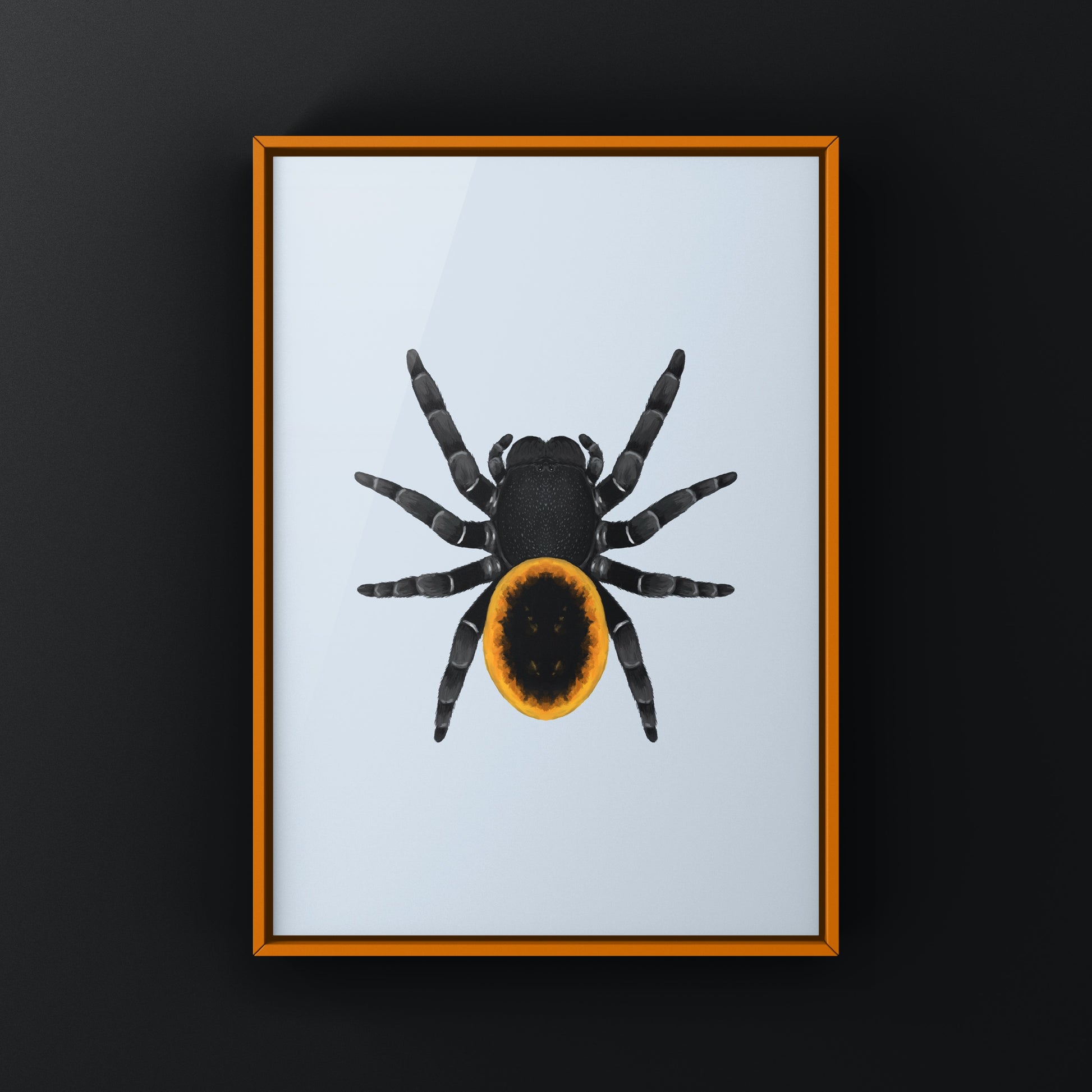 Orange velvet spider art print featuring a detailed illustration of Eresus walckenaeri, displayed on a white background.