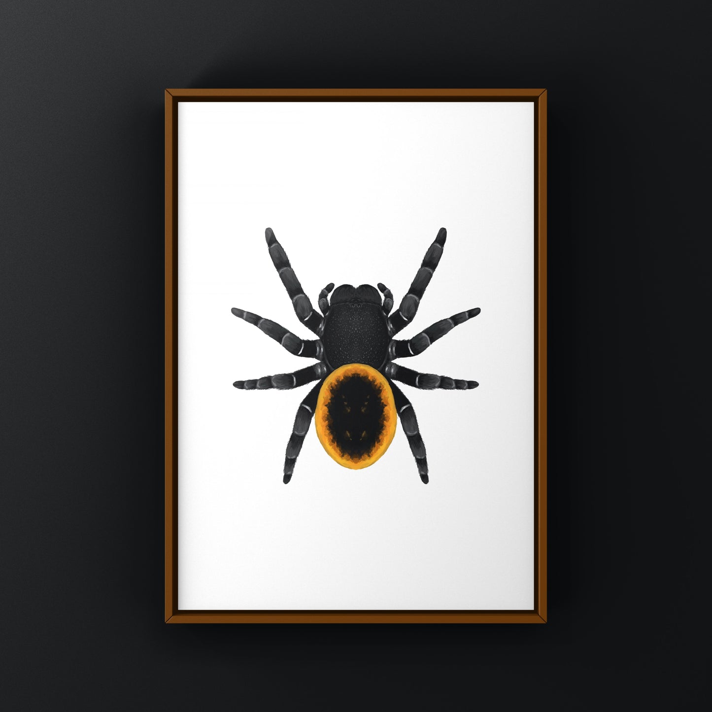 Orange velvet spider art print featuring a detailed illustration of Eresus walckenaeri by The Silk Ranch.