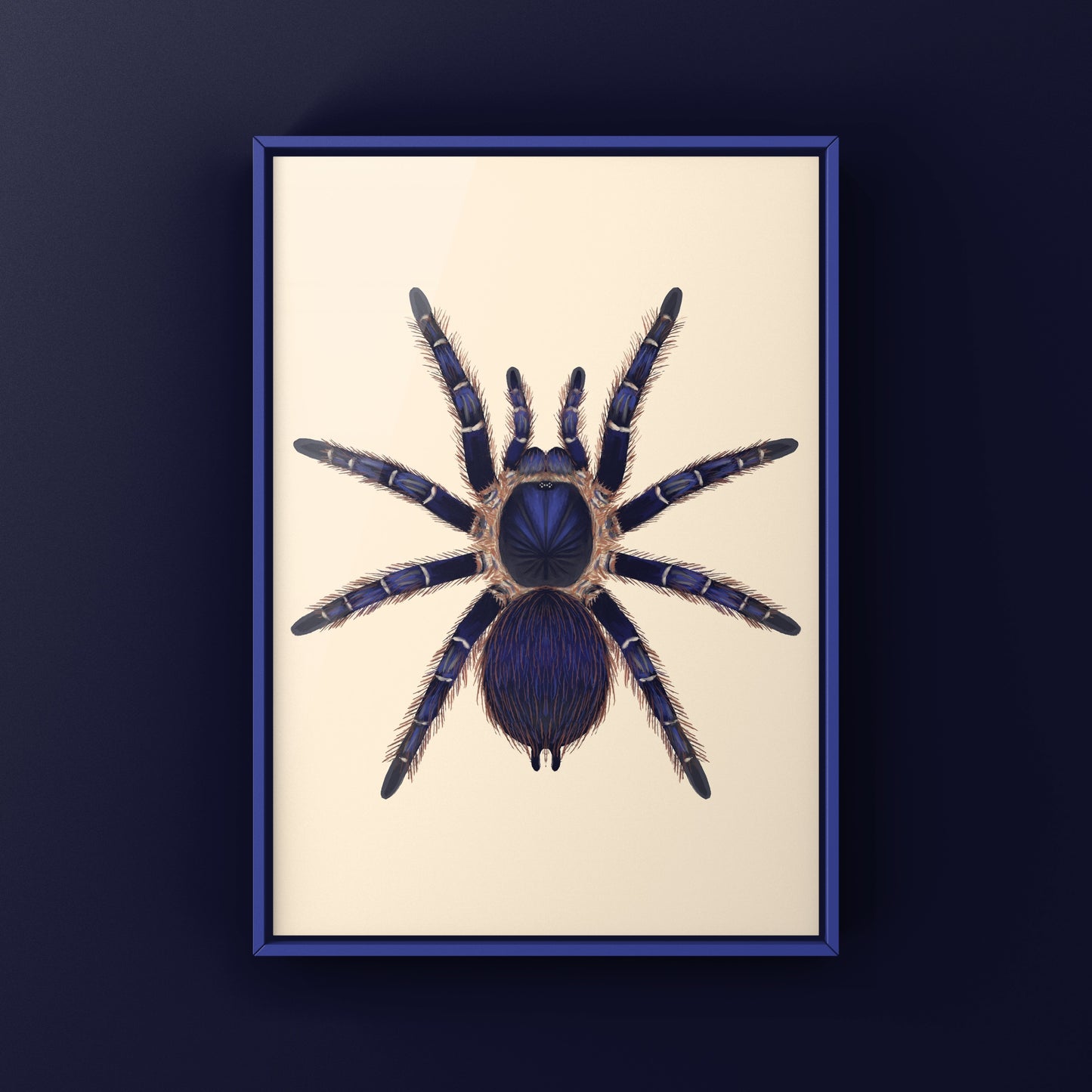 Brazilian Blue and Red Tarantula art print featuring Nhandu cerradensis, displayed on a neutral background, by The Silk Ranch.