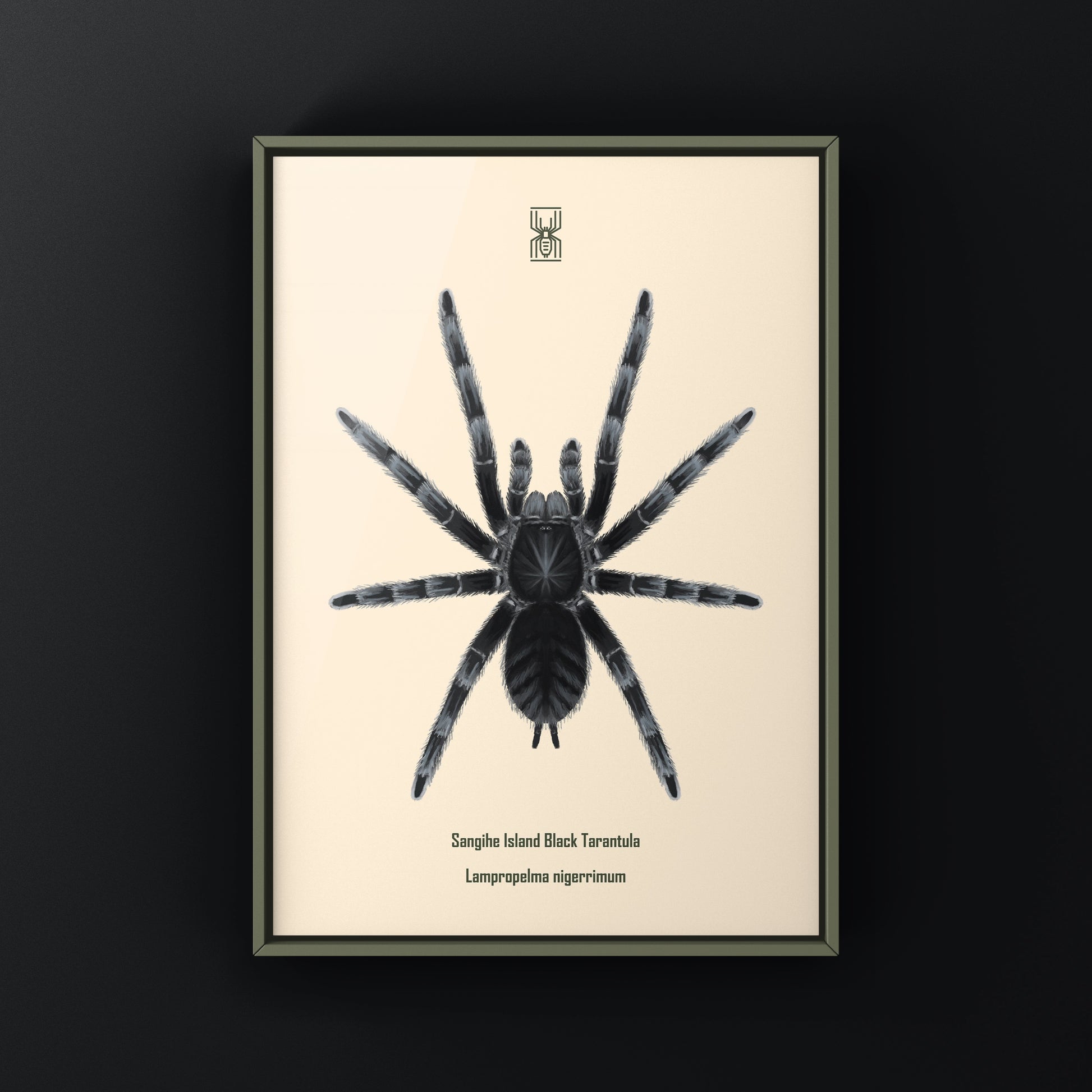 Black tarantula art print featuring Lampropelma nigerrimum from Sangihe Island, created by The Silk Ranch.
