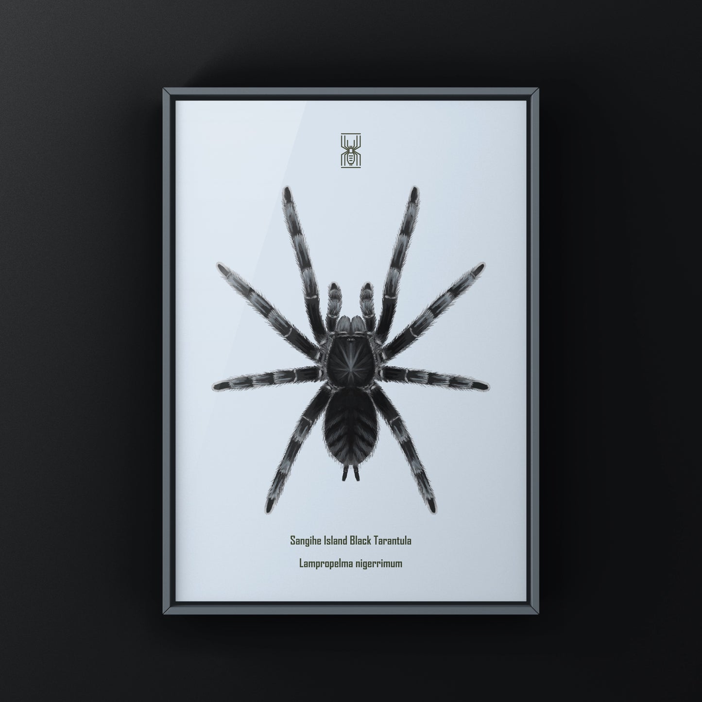 Sangihe Island Black Tarantula art print featuring a Lampropelma nigerrimum spider on a neutral background.