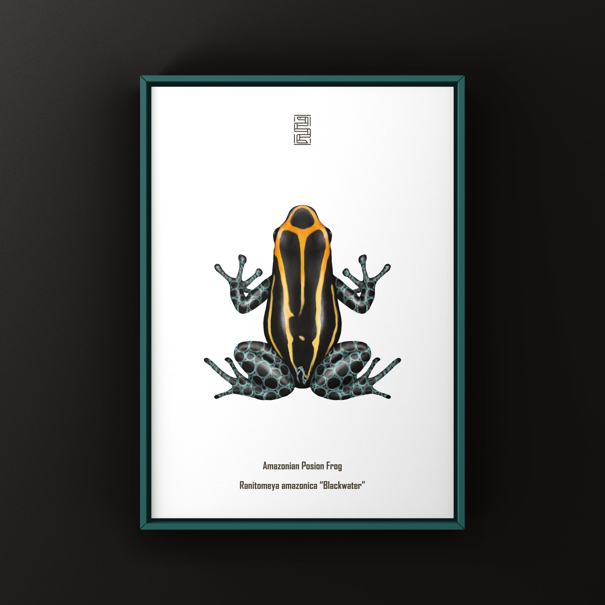 Colorful Blackwater Amazonian Poison Frog art print featuring Ranitomeya amazonica, showcasing vibrant rainforest amphibian artwork.