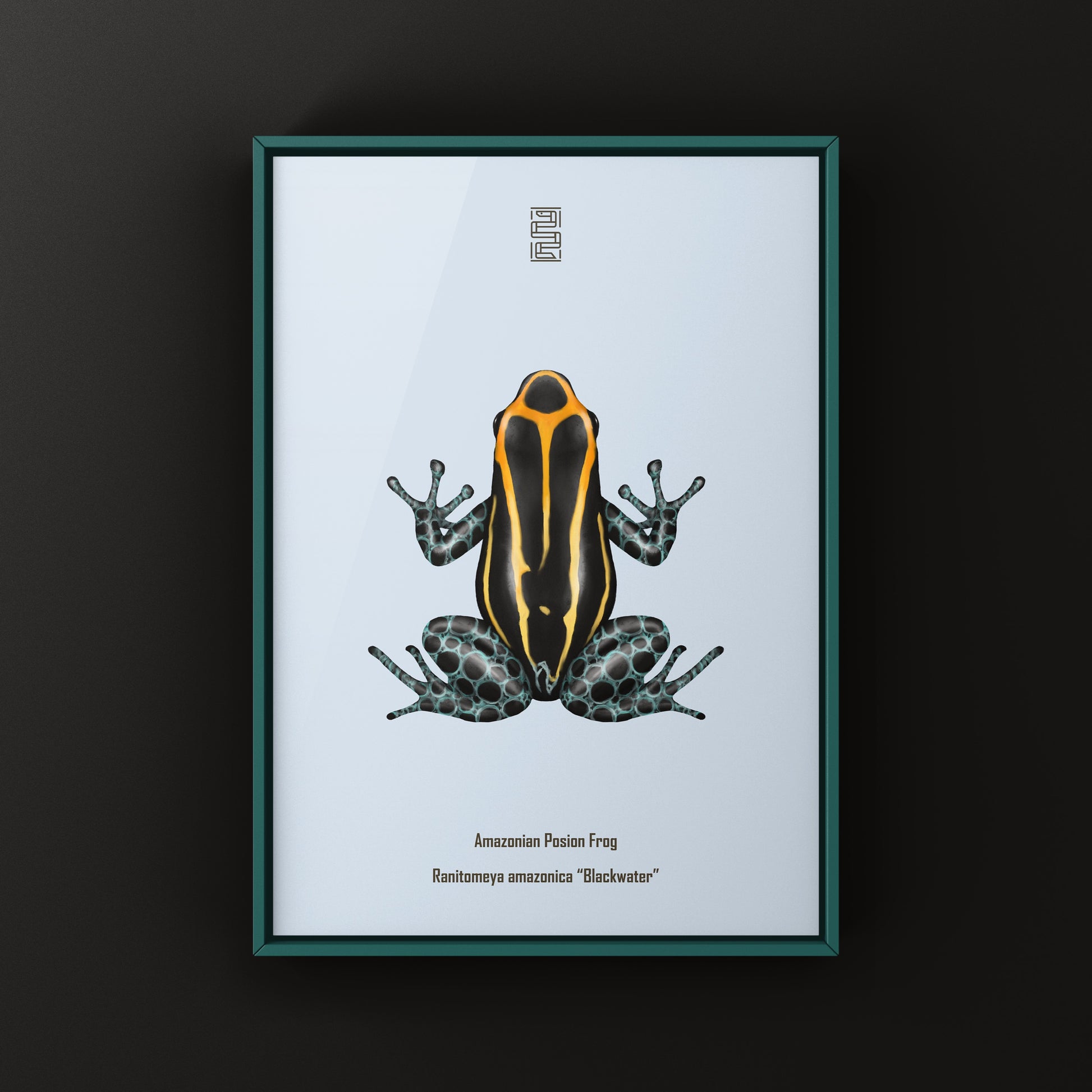 Colorful Blackwater Amazonian Poison Frog art print by The Silk Ranch, showcasing vibrant Ranitomeya amazonica on a natural background.