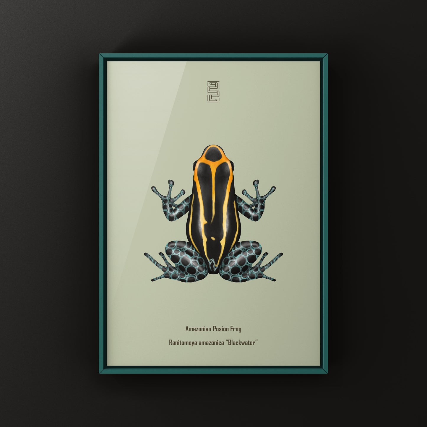 Blackwater Amazonian Poison Frog art print featuring vibrant Ranitomeya amazonica colors on high-quality paper.