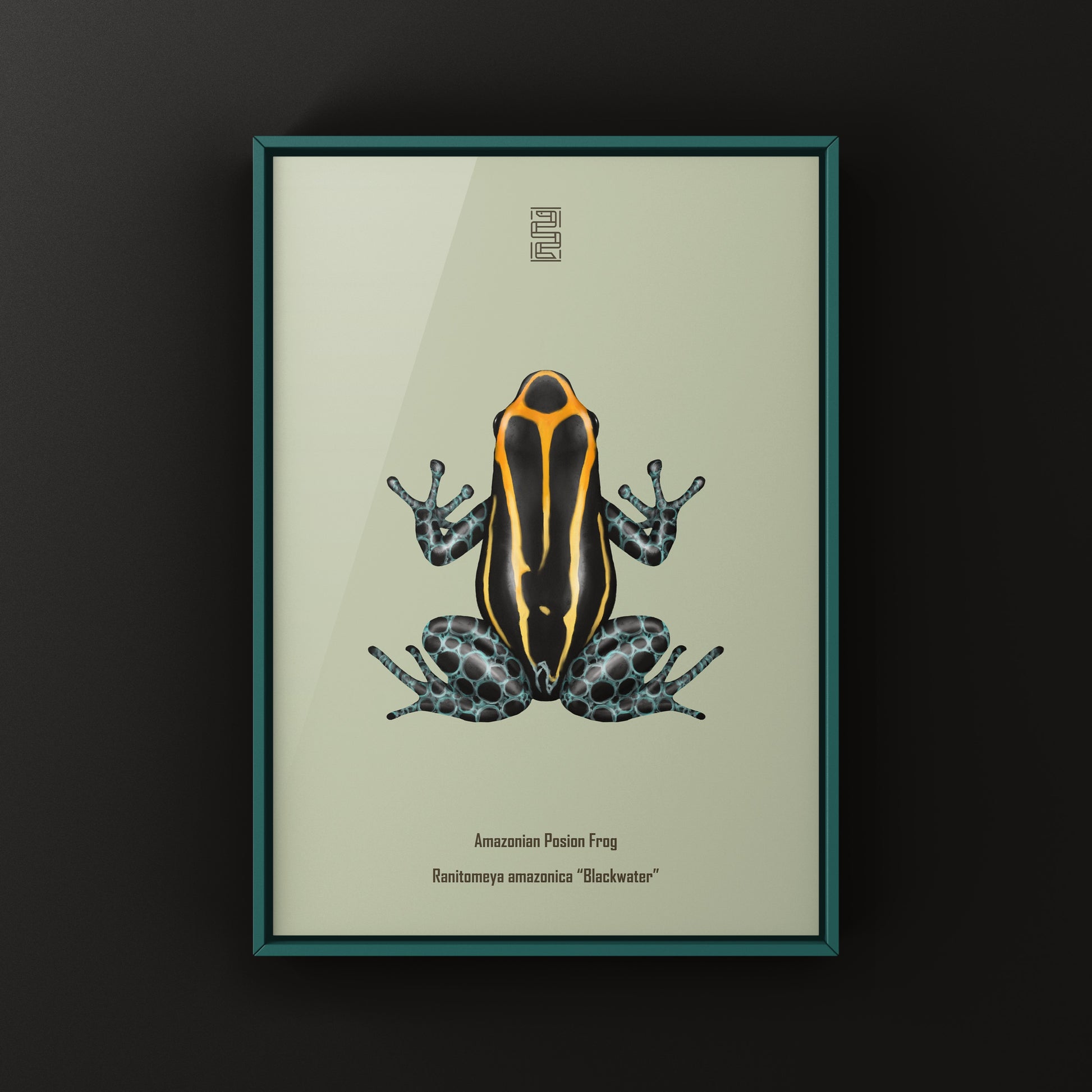 Blackwater Amazonian Poison Frog art print featuring vibrant Ranitomeya amazonica colors on high-quality paper.