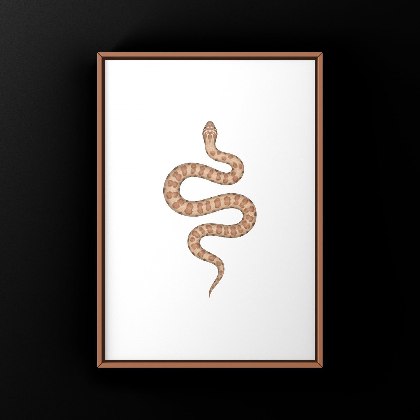 Caramel Western Hognose Snake art print by The Silk Ranch featuring detailed illustration of the Heterodon nasicus snake.