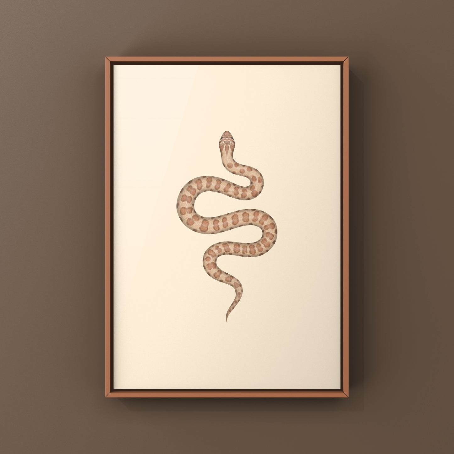 Western Hognose Snake art print featuring a caramel-colored Heterodon nasicus by The Silk Ranch, showcasing detailed snake illustration.