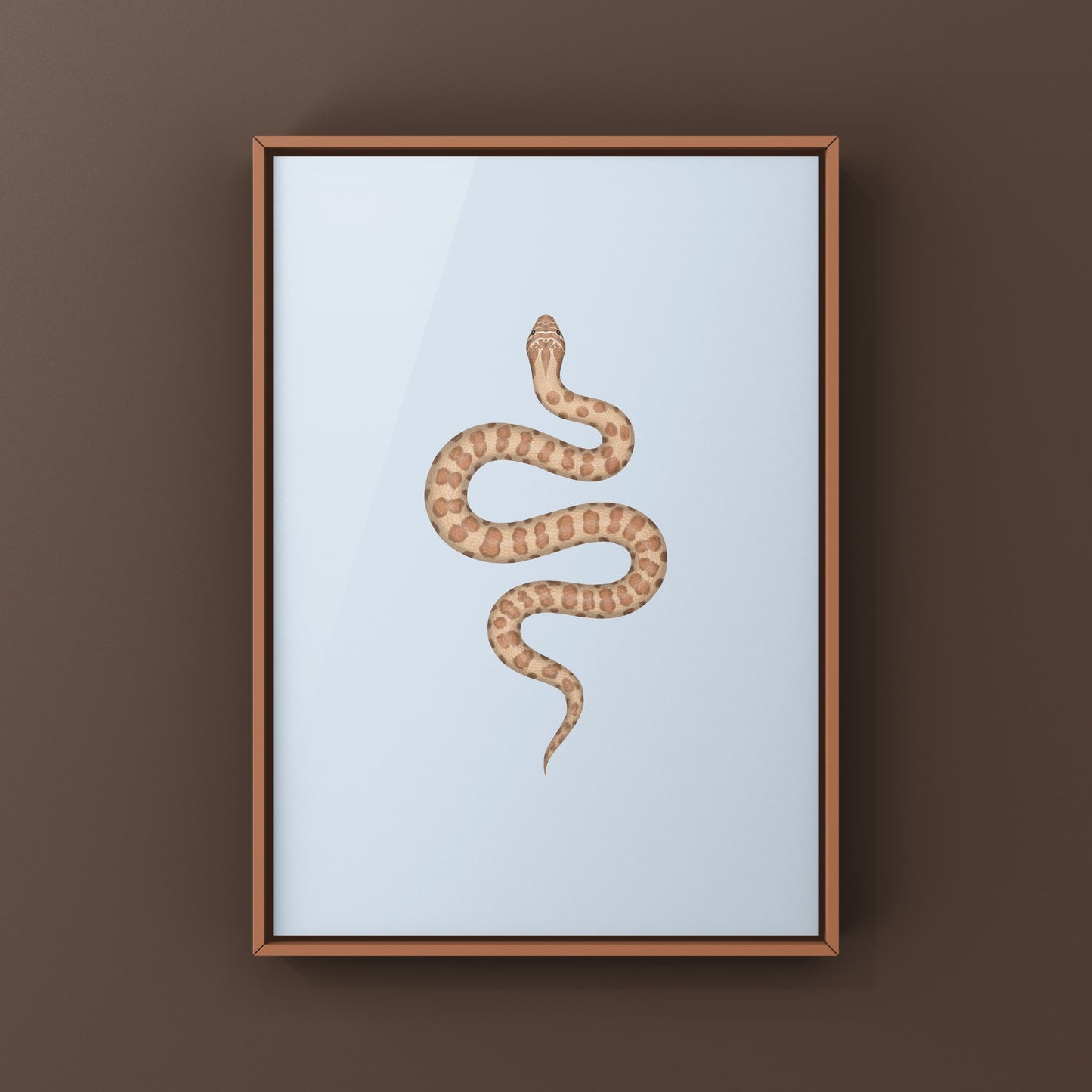 Caramel Western Hognose Snake art print by The Silk Ranch, detailed illustration of the Heterodon nasicus species.